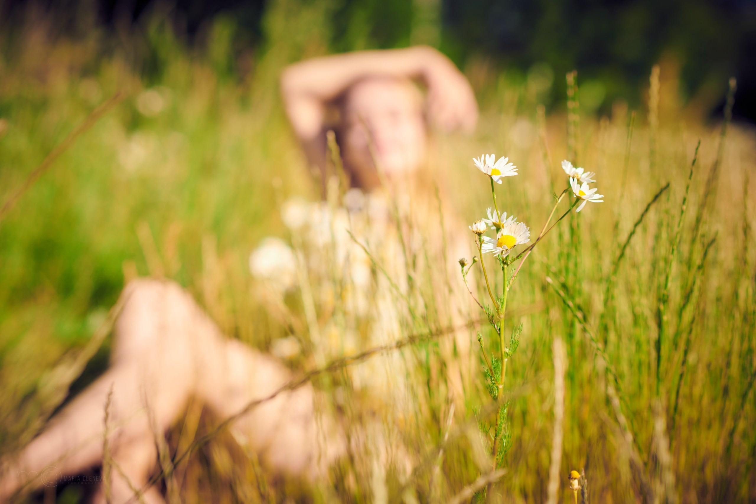 В ромашках. Фотограф Мария Оленева