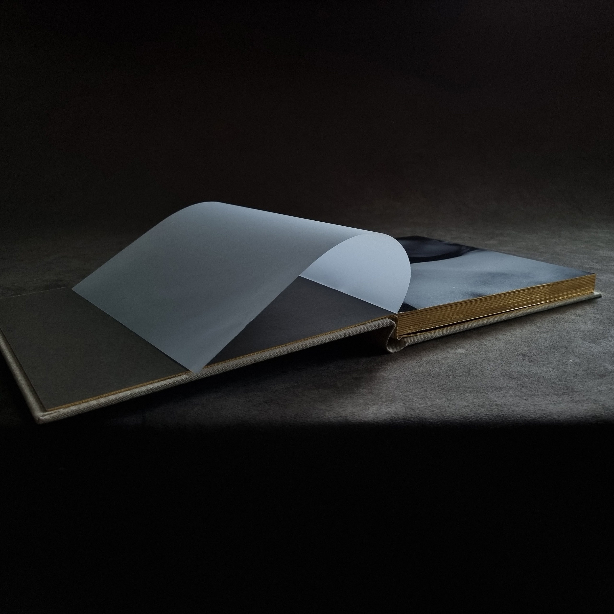 Wedding Book. Свадебный, семейный фотограф в Санкт-Петербурге