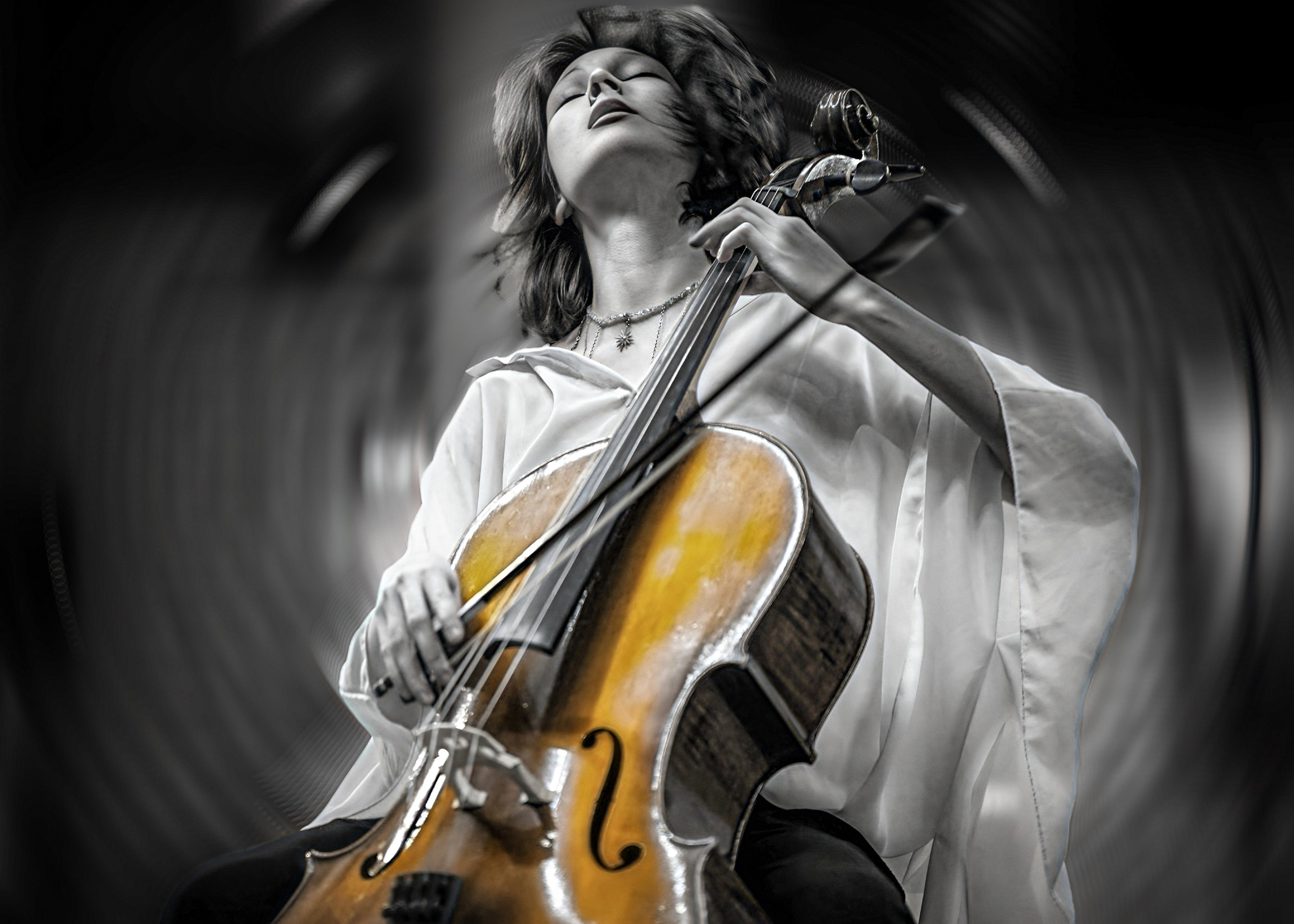 Виолончель. Фотограф в Москве, фотожурналист Александр Малахов