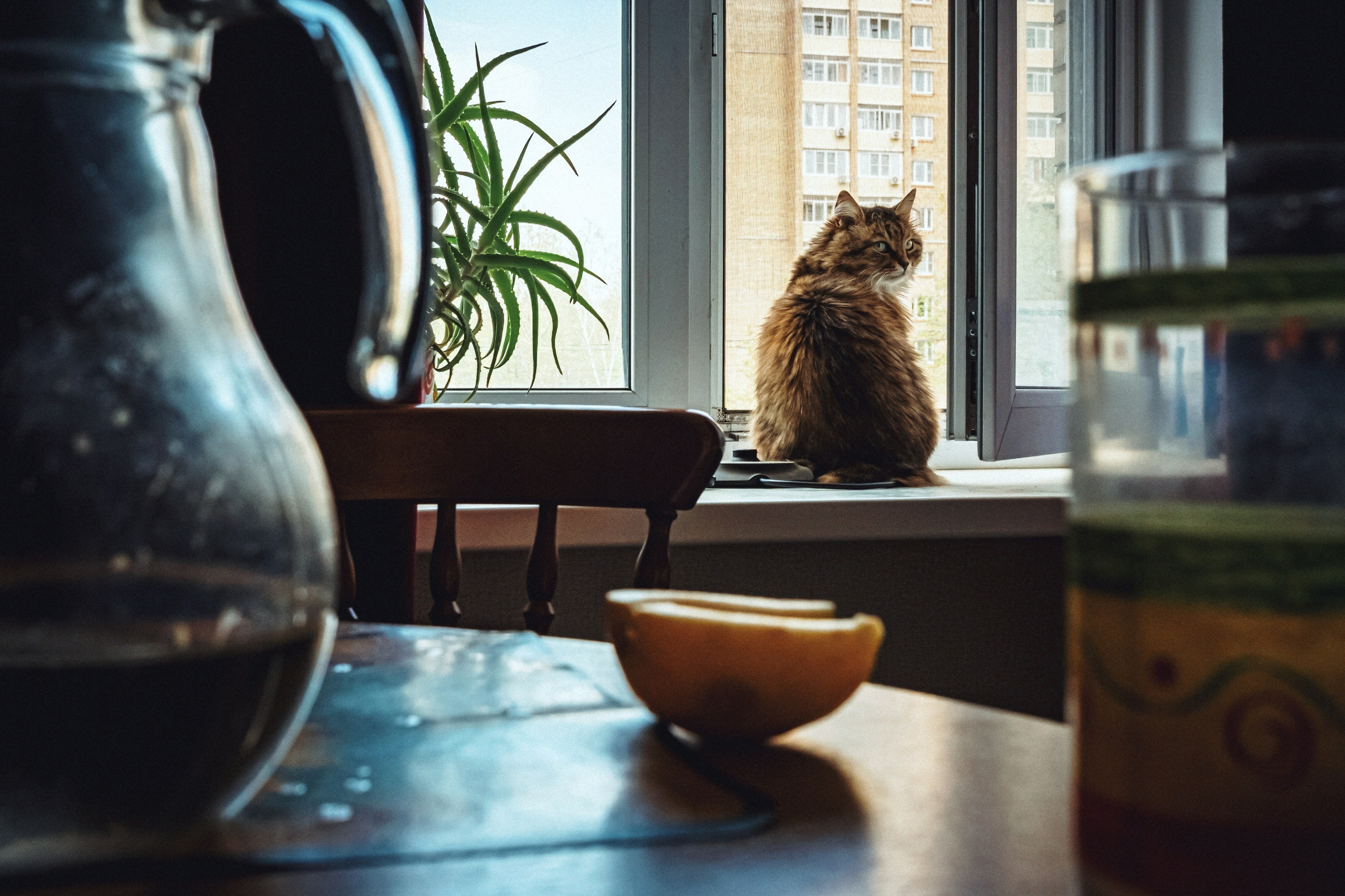 Стрит. Фотограф в Москве, фотожурналист Александр Малахов