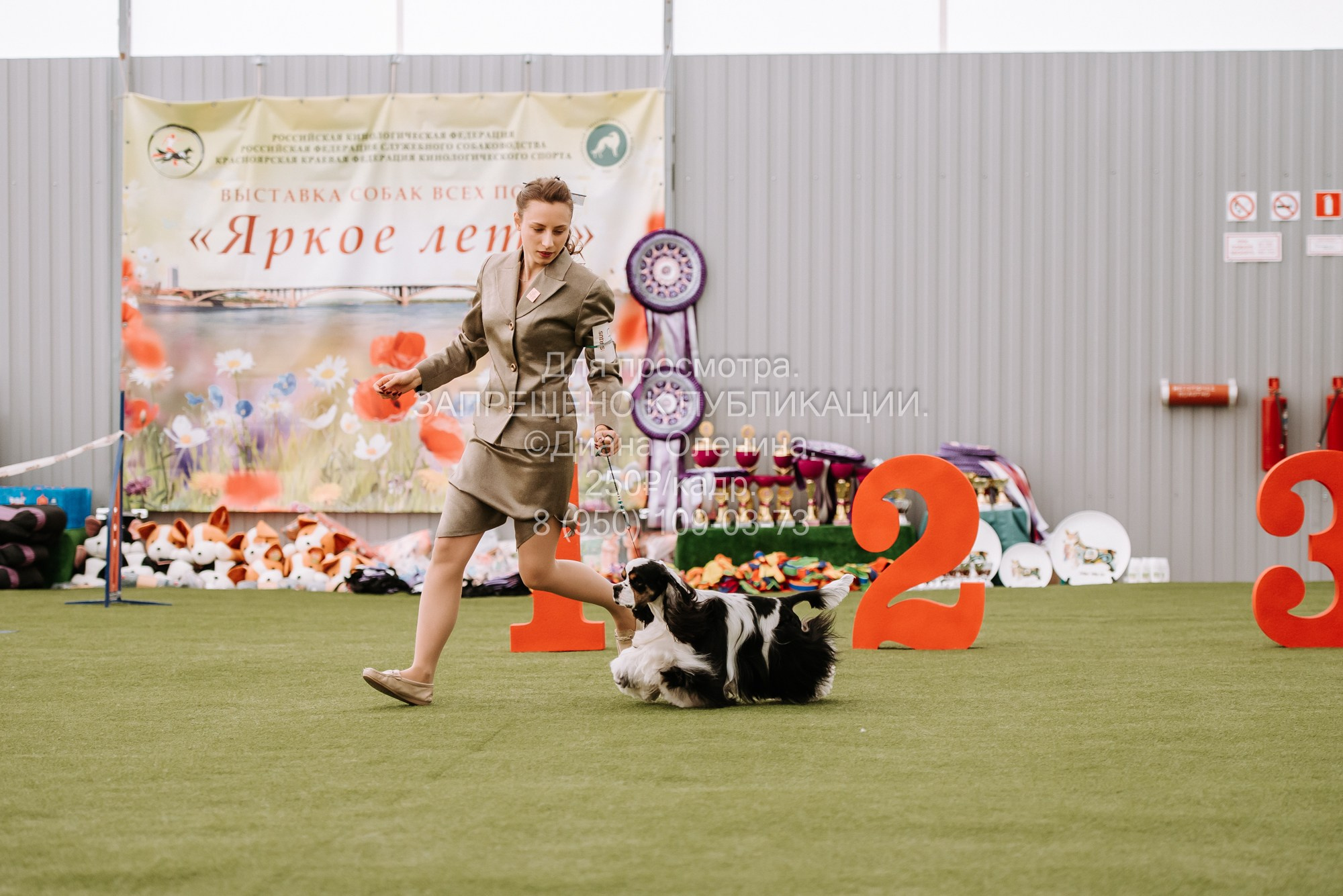 Выставка собак Красноярск 2.06. Фотограф Диана Оленина Красноярск / Братск