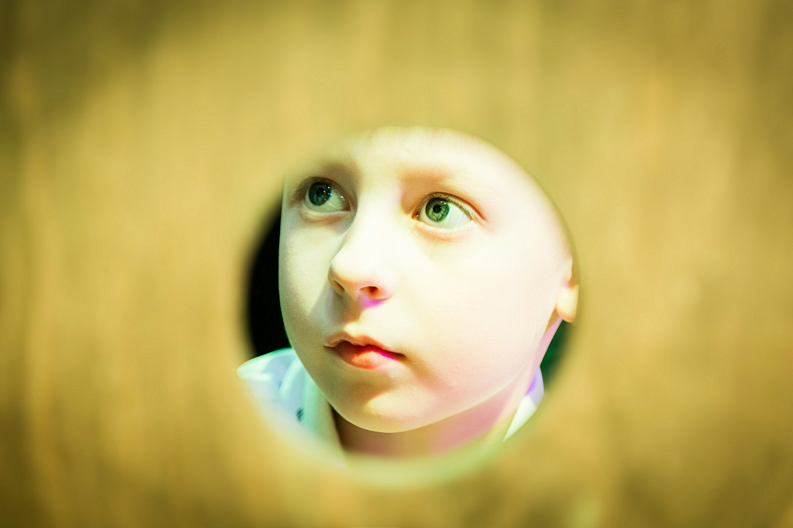 Мише 7 лет. Детский фотограф видеограф в Хабаровске Михаил Орлов