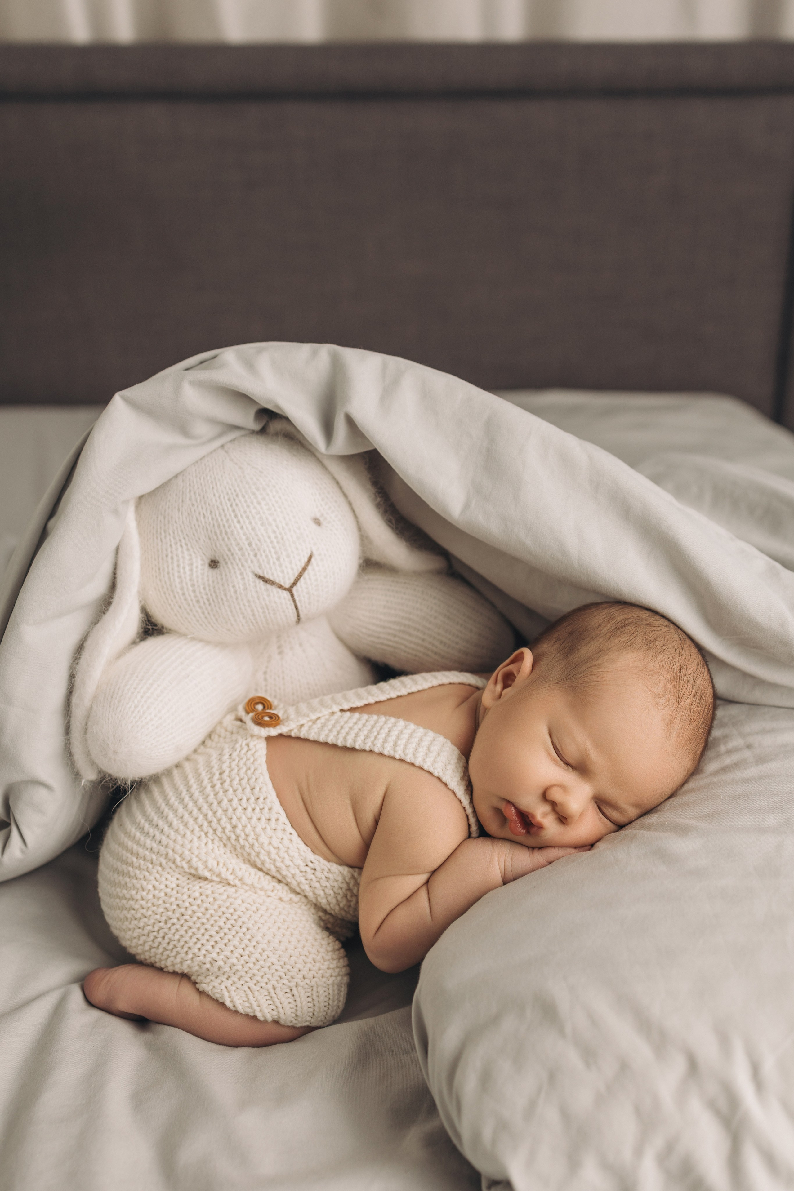 Лев 7 дней. Фотограф новорождённых Newborn Москва