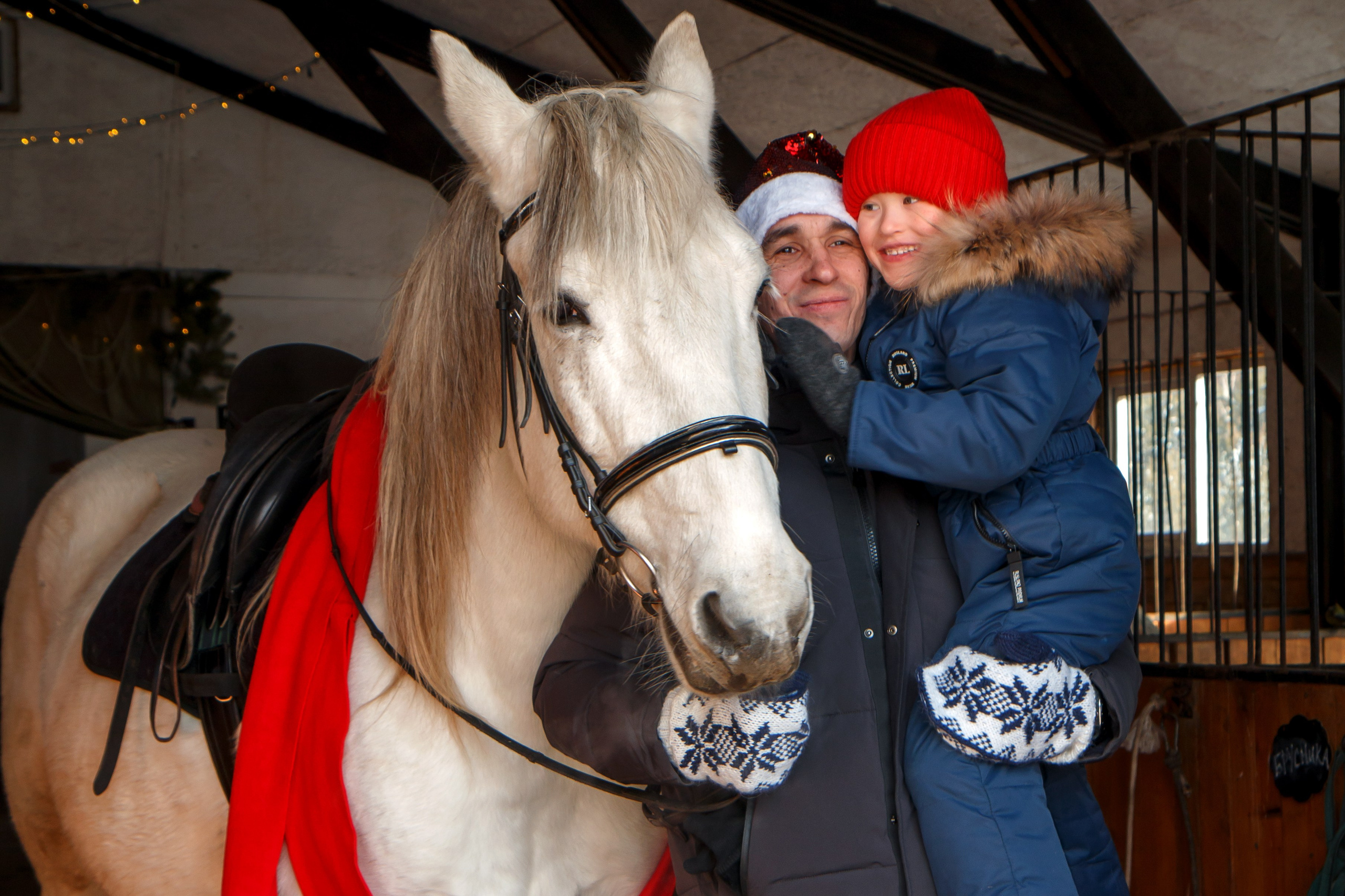 Анастасия с семьей. Участники «Новогоднего фотопроект с лошадью». Фотограф в Шелехове, лучшие выпускные альбомы в Шелехове