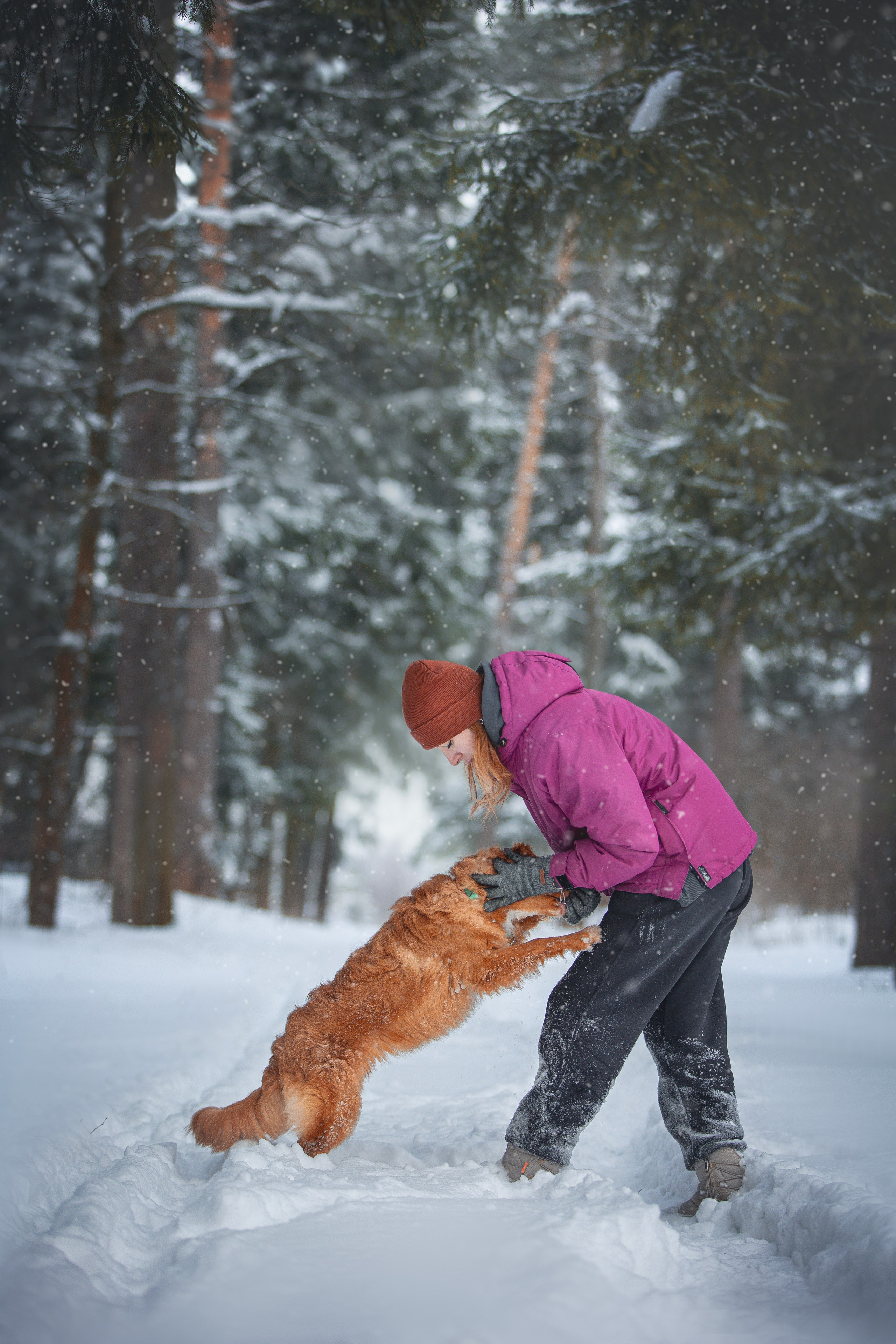 Руби, Николь, Кирилл и Мила. Фотограф анималист в Москве Майорова Евгения