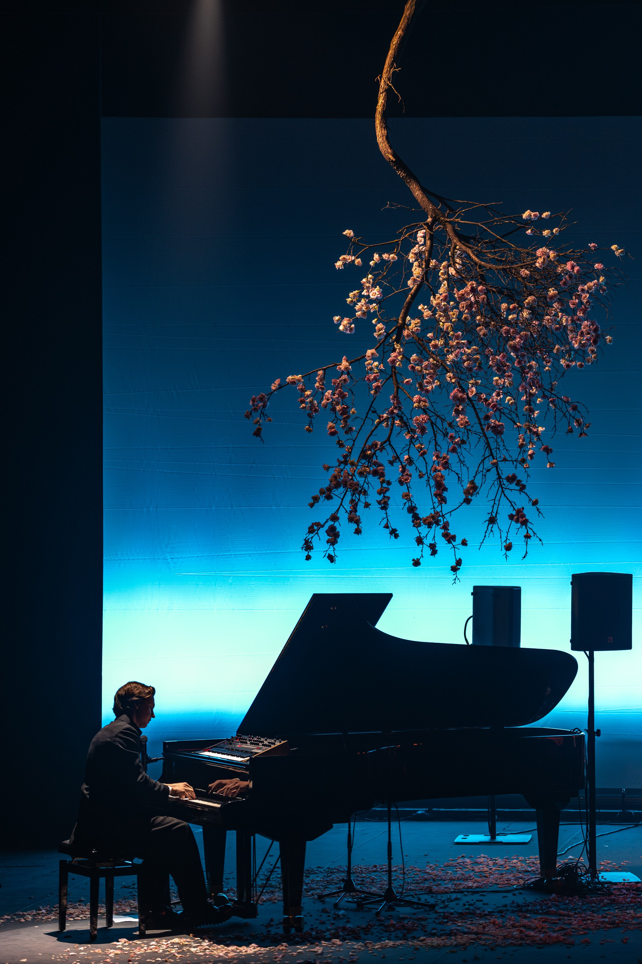 Никола Мельников / 2024. OOPS