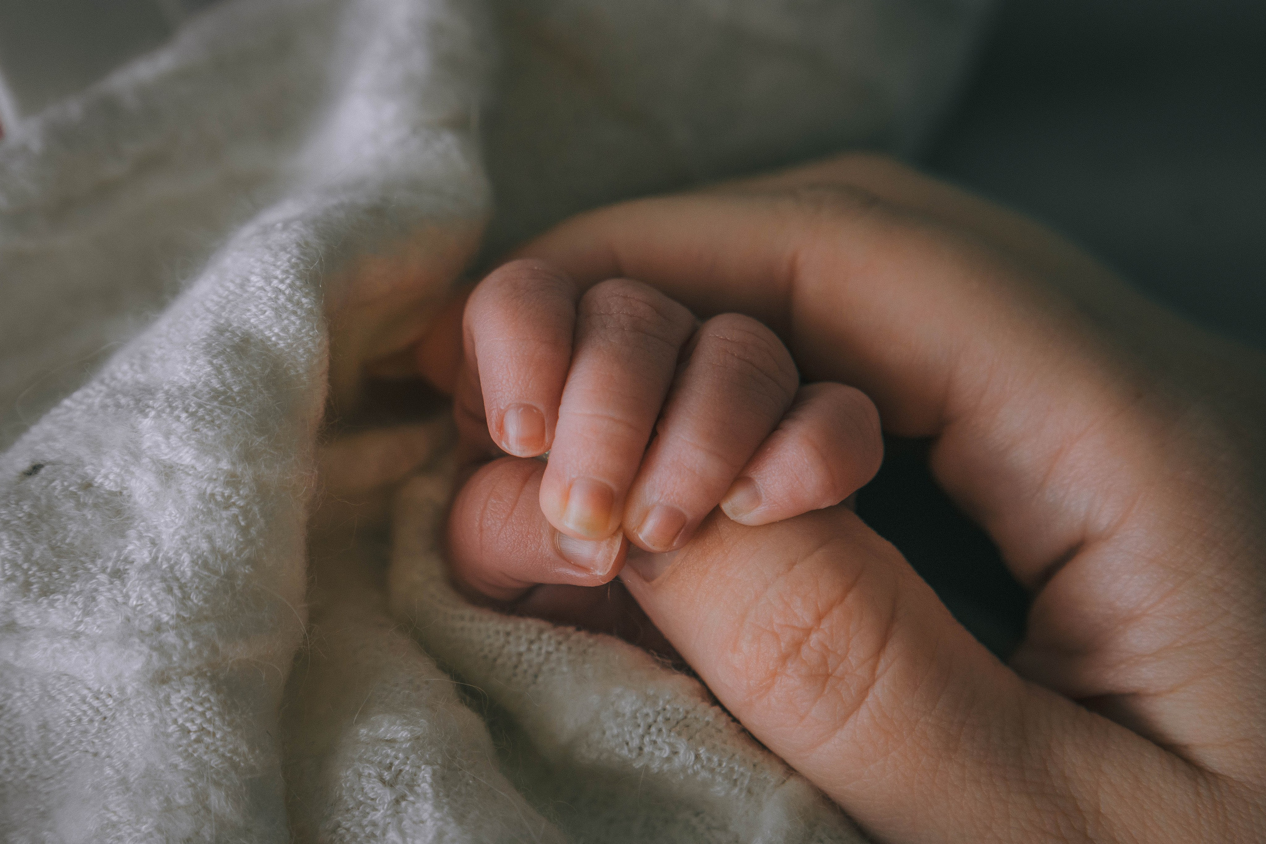 Доминик. NewBorn. Фотограф СЕМЬИ и ДЕТСТВА в Краснодаре и Краснодарском крае Екатерина Москат