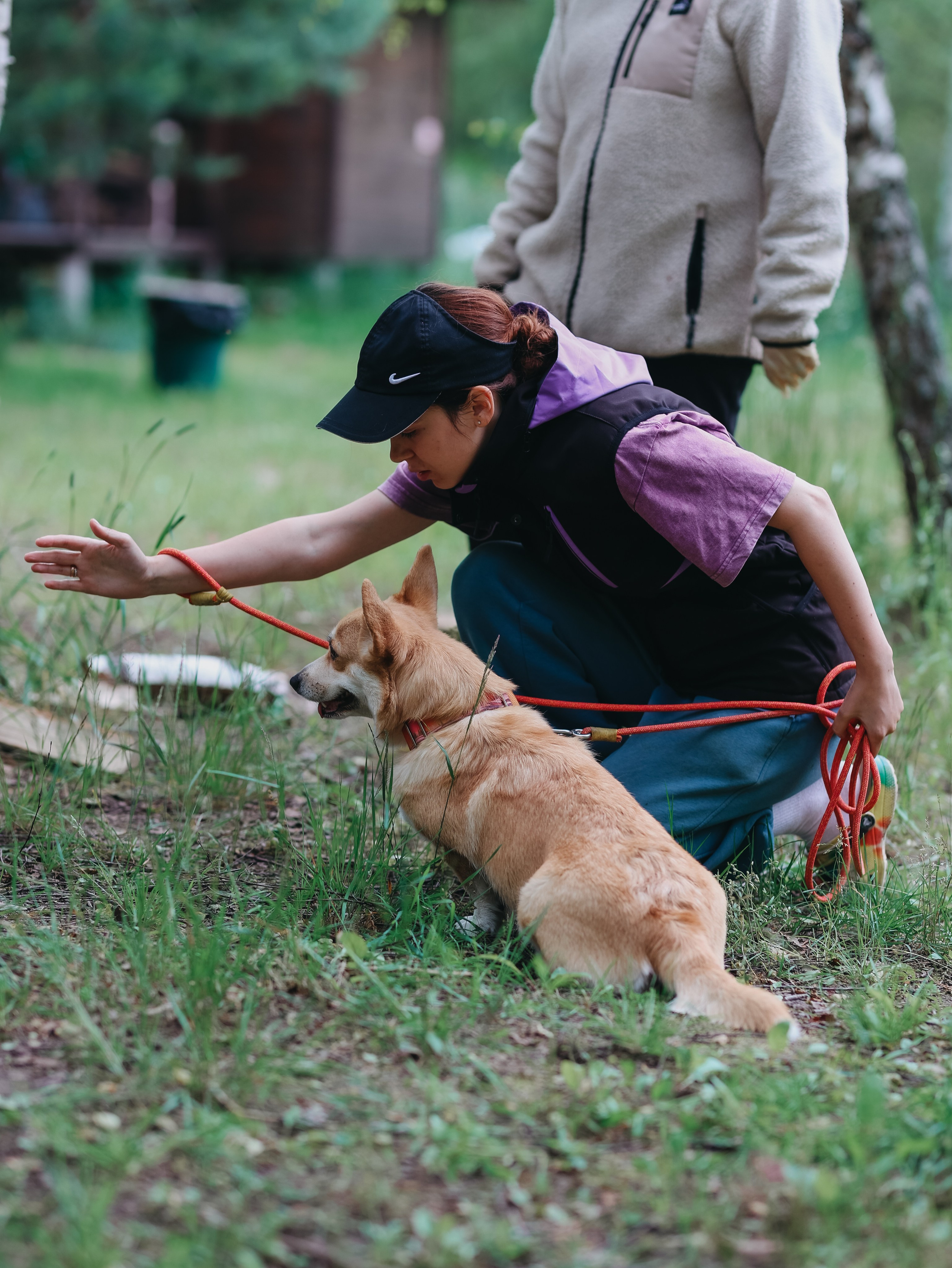 Лагерь ноузворк. Фотограф-анималист в Москве Кириллова Татьяна