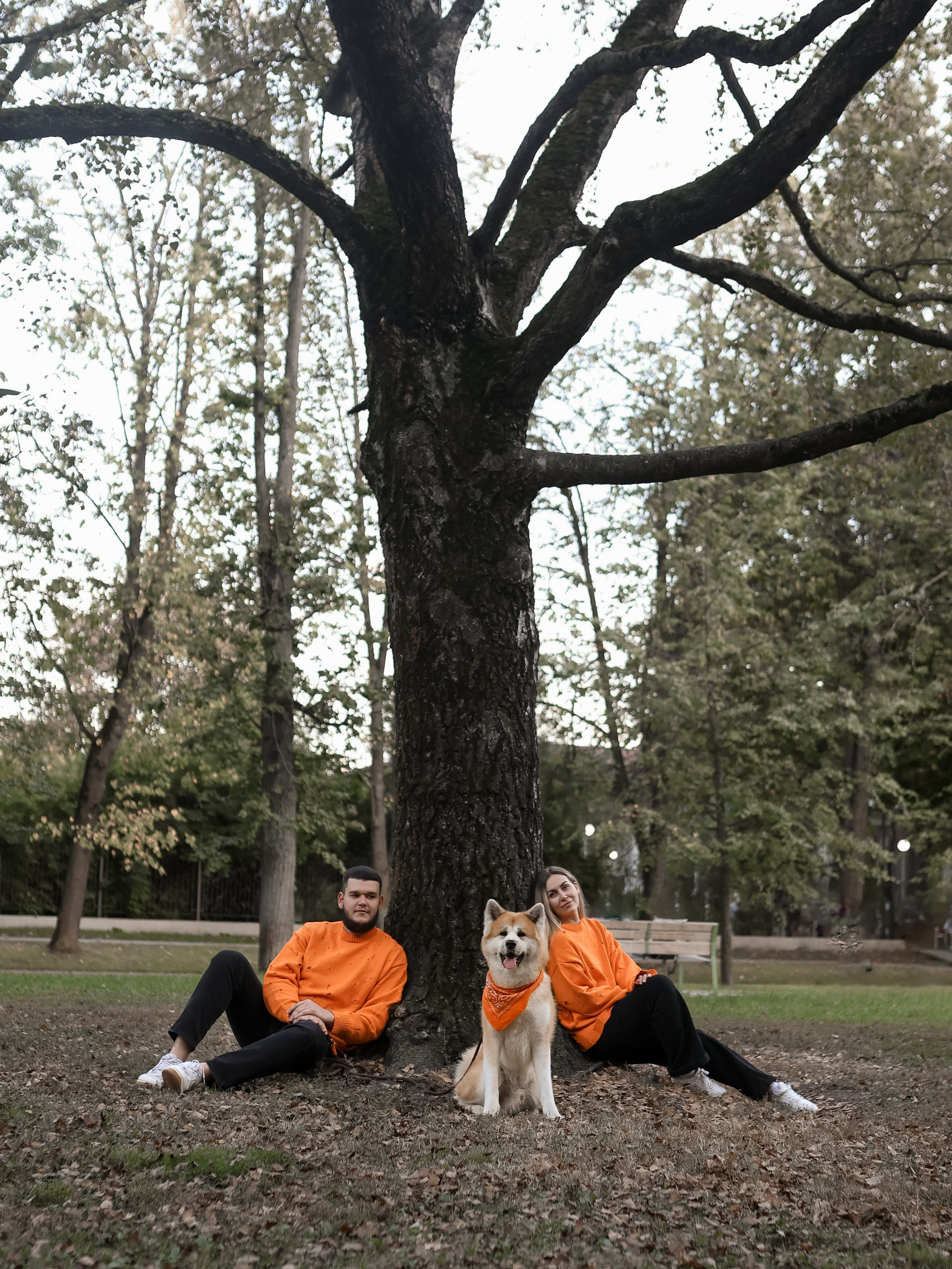 Гранд, Вика и Степан. Фотограф-анималист в Москве Кириллова Татьяна