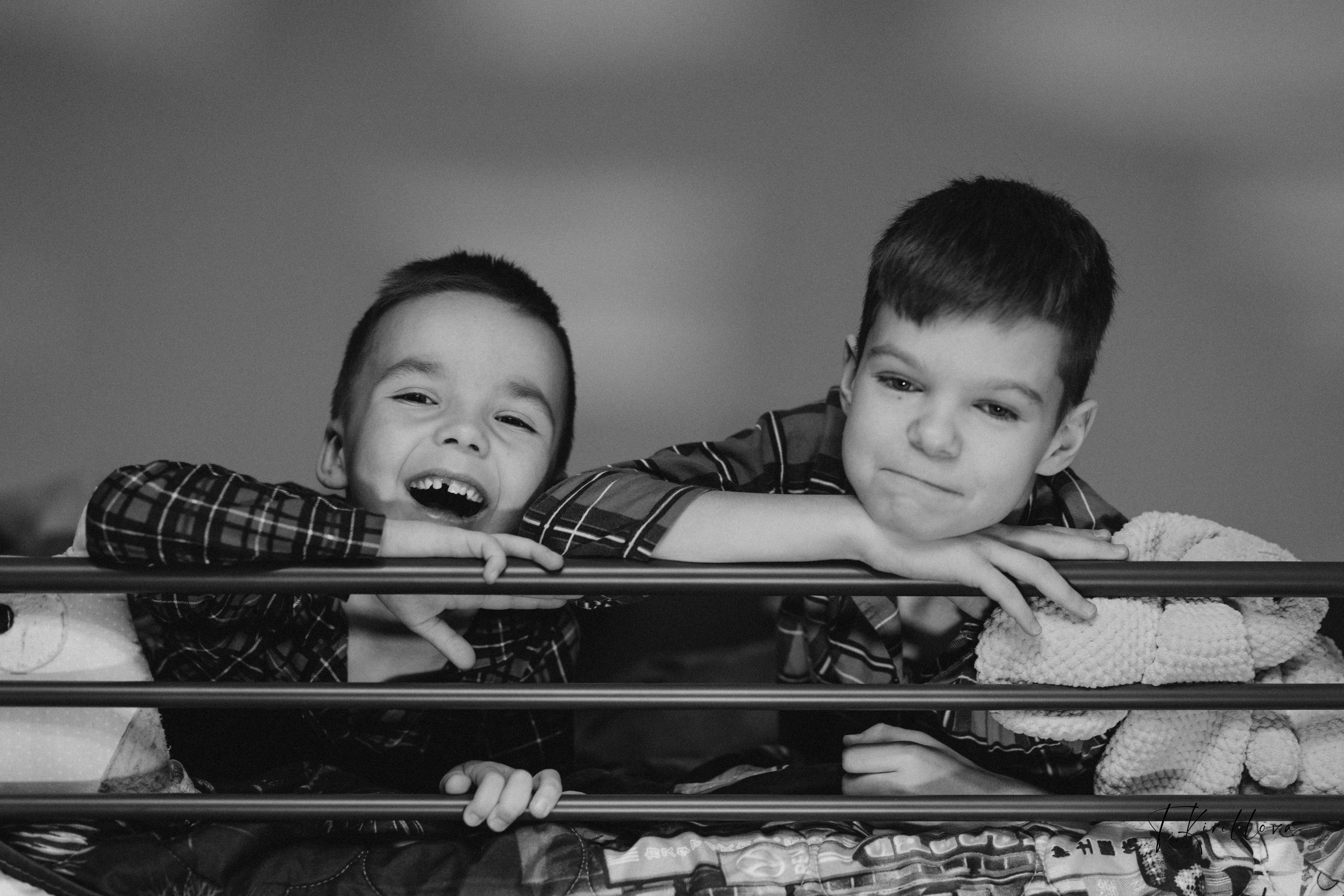 Новогоднее утро. Фотограф-анималист в Москве Кириллова Татьяна