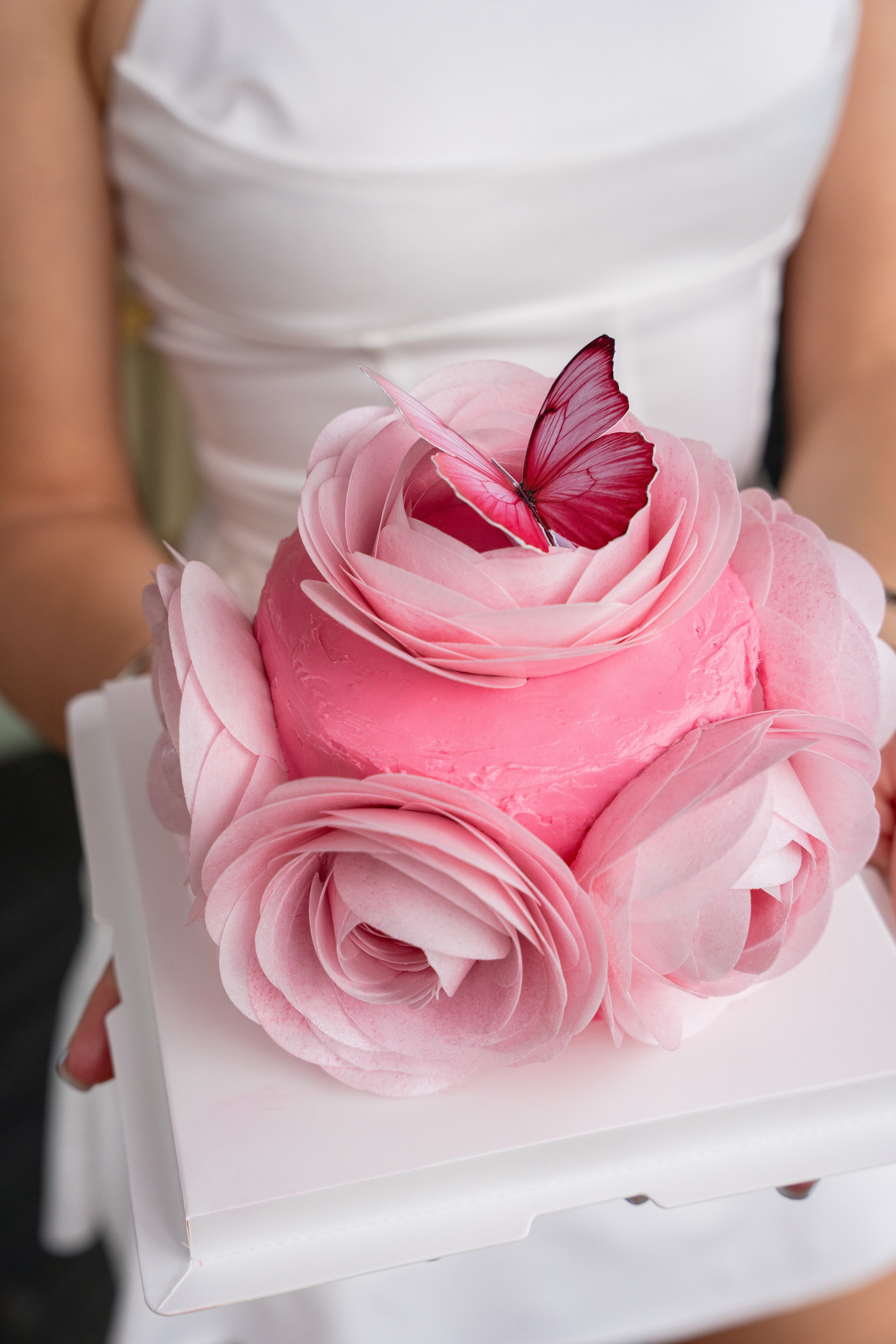 RUDI cake. Brand designer | photographer | model