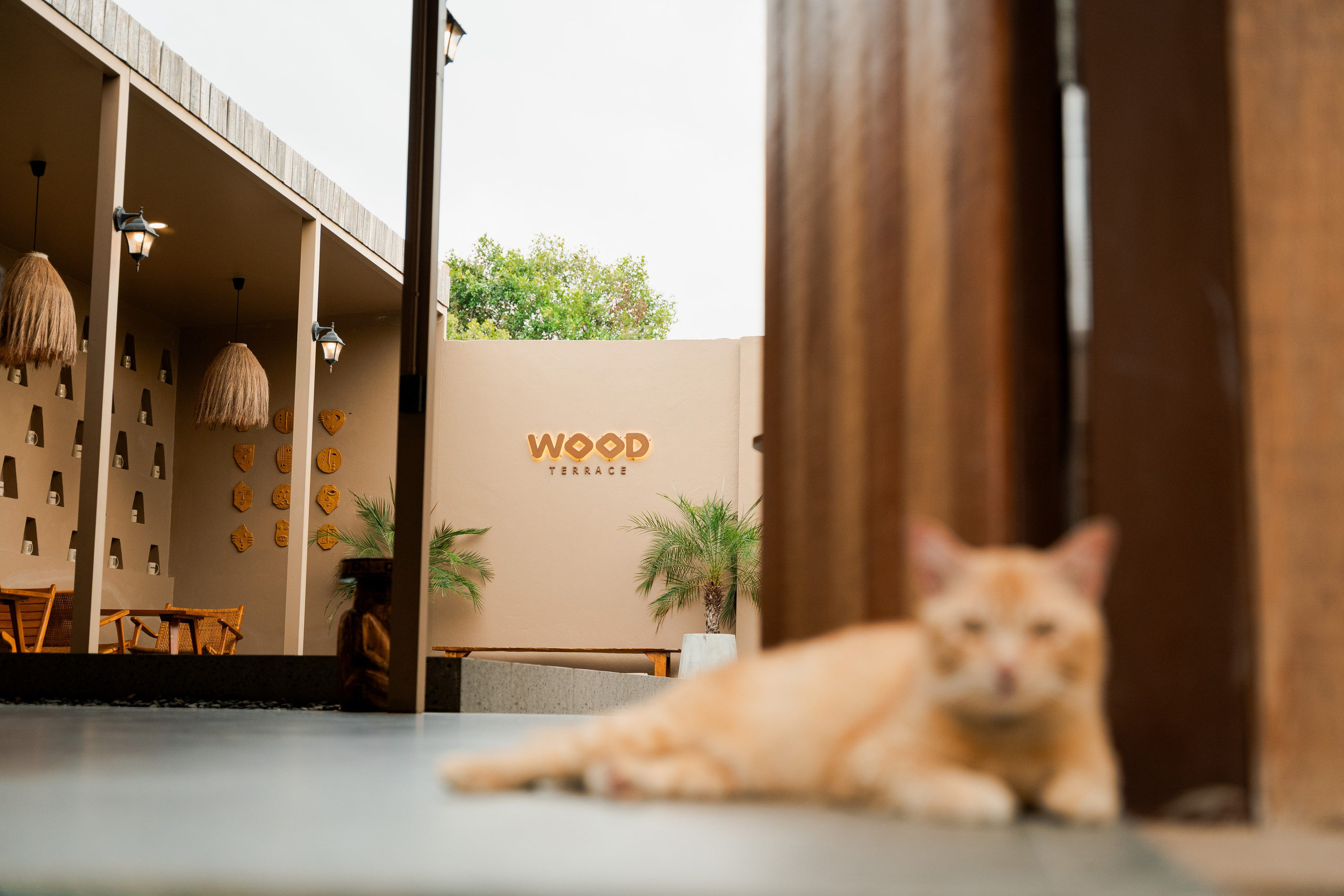 WOOD TERRACE. Brand designer | photographer | model