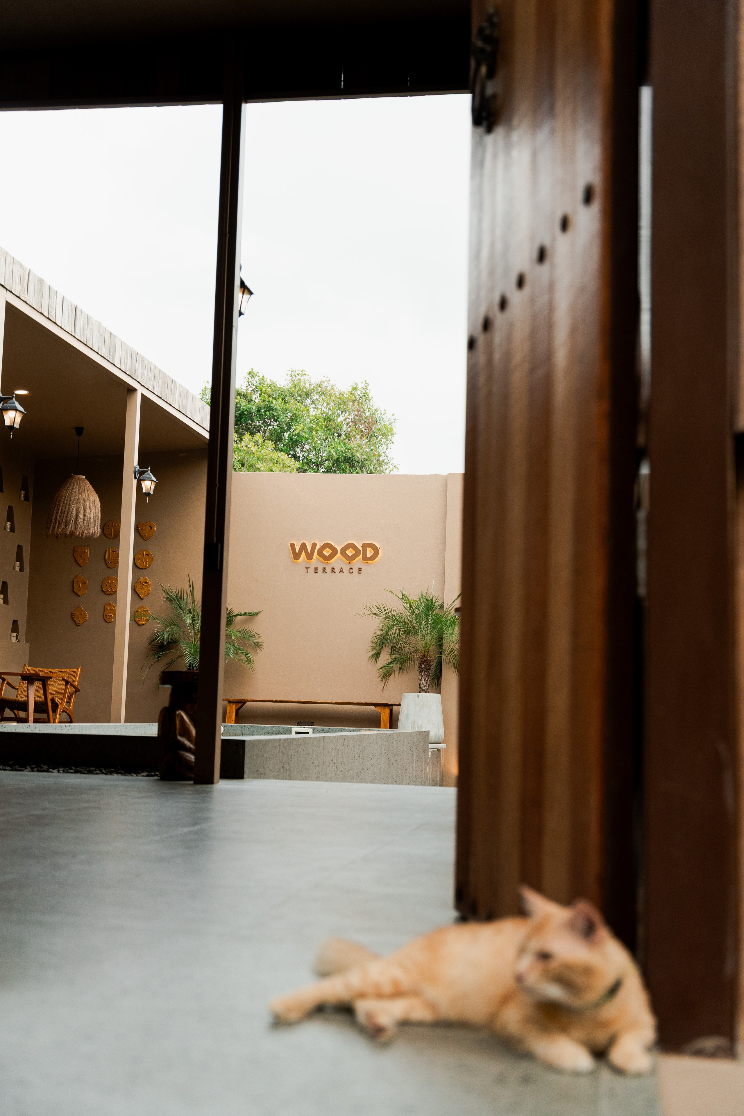 WOOD TERRACE. Brand designer | photographer | model