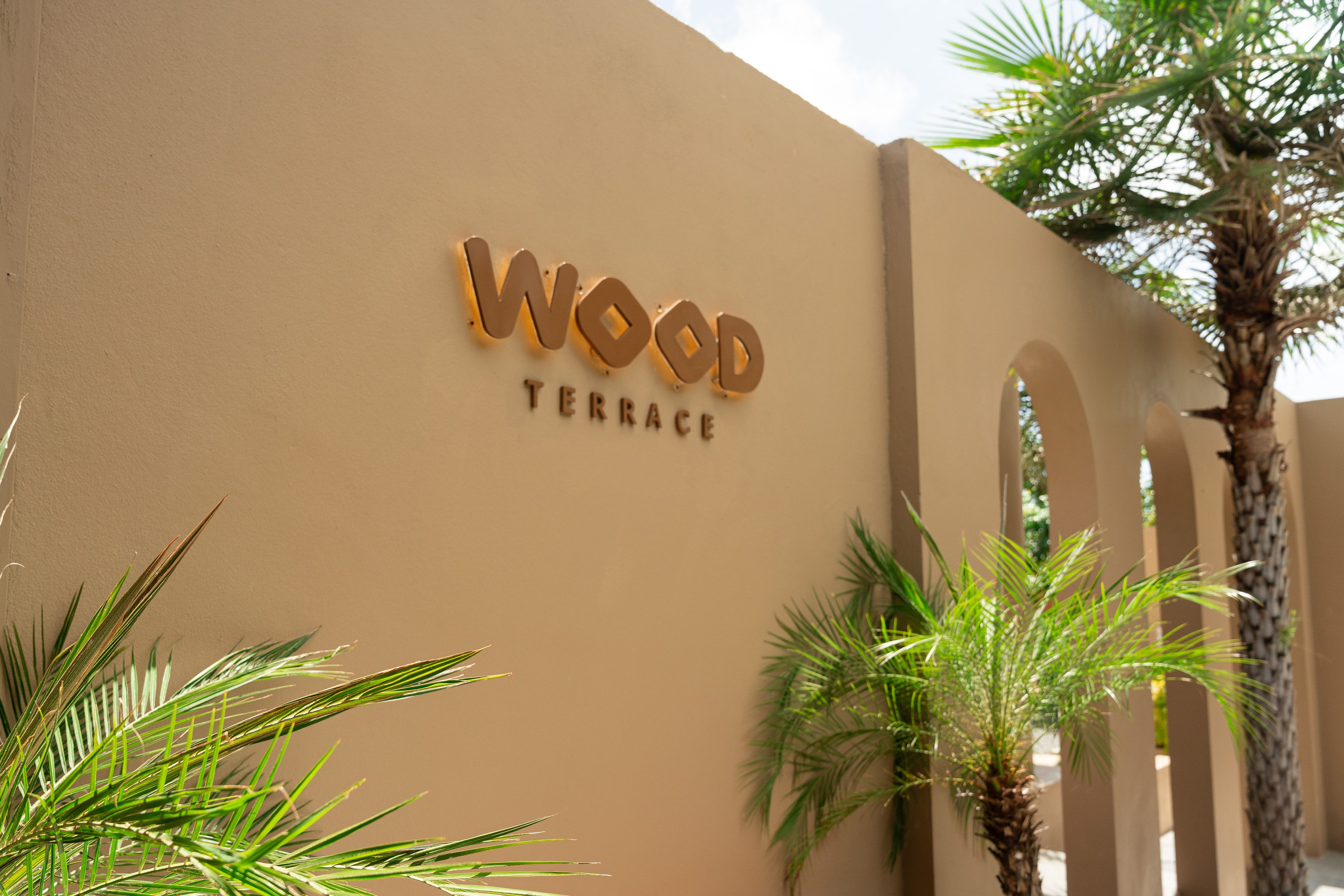 WOOD TERRACE. Brand designer | photographer | model