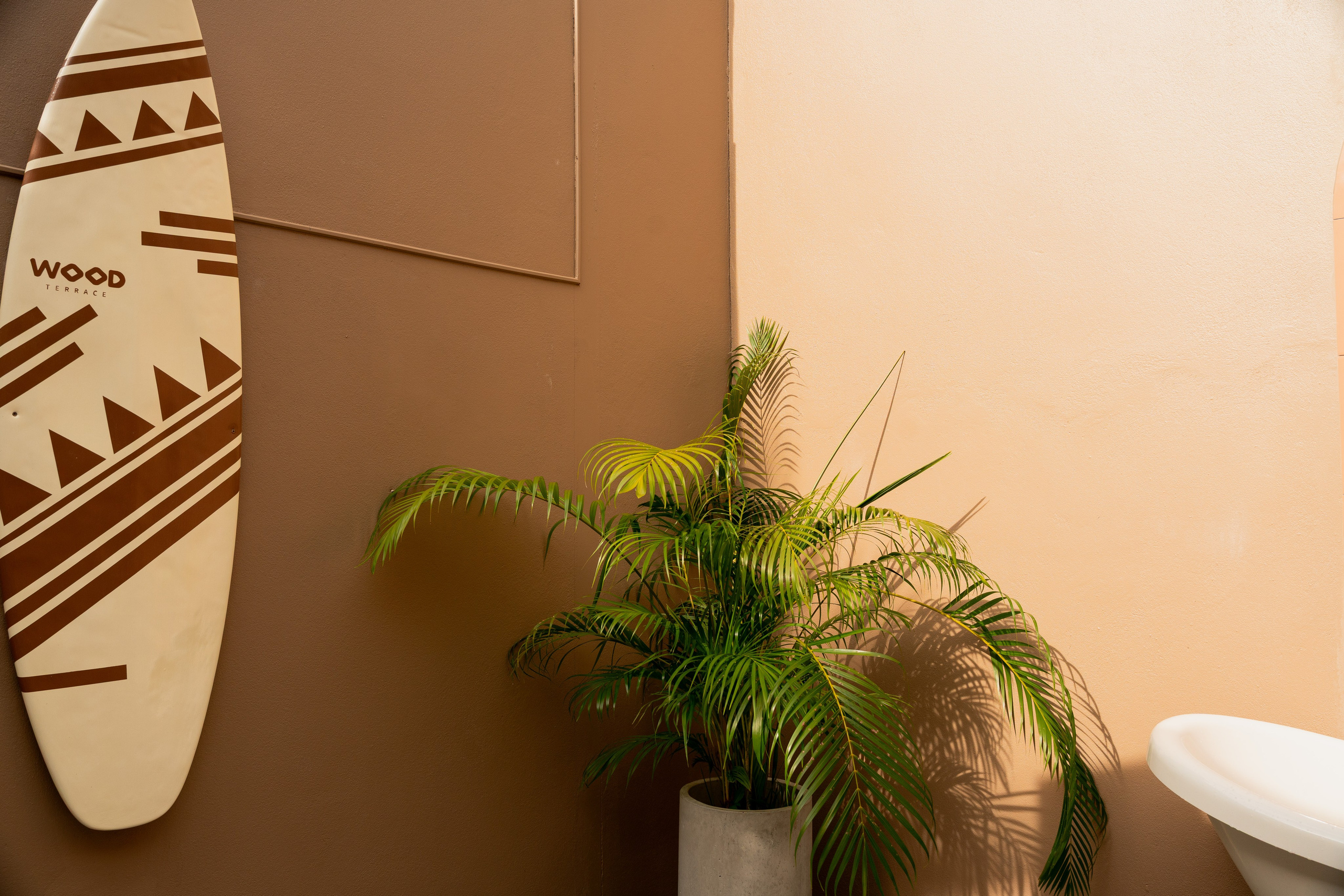 WOOD TERRACE. Brand designer | photographer | model