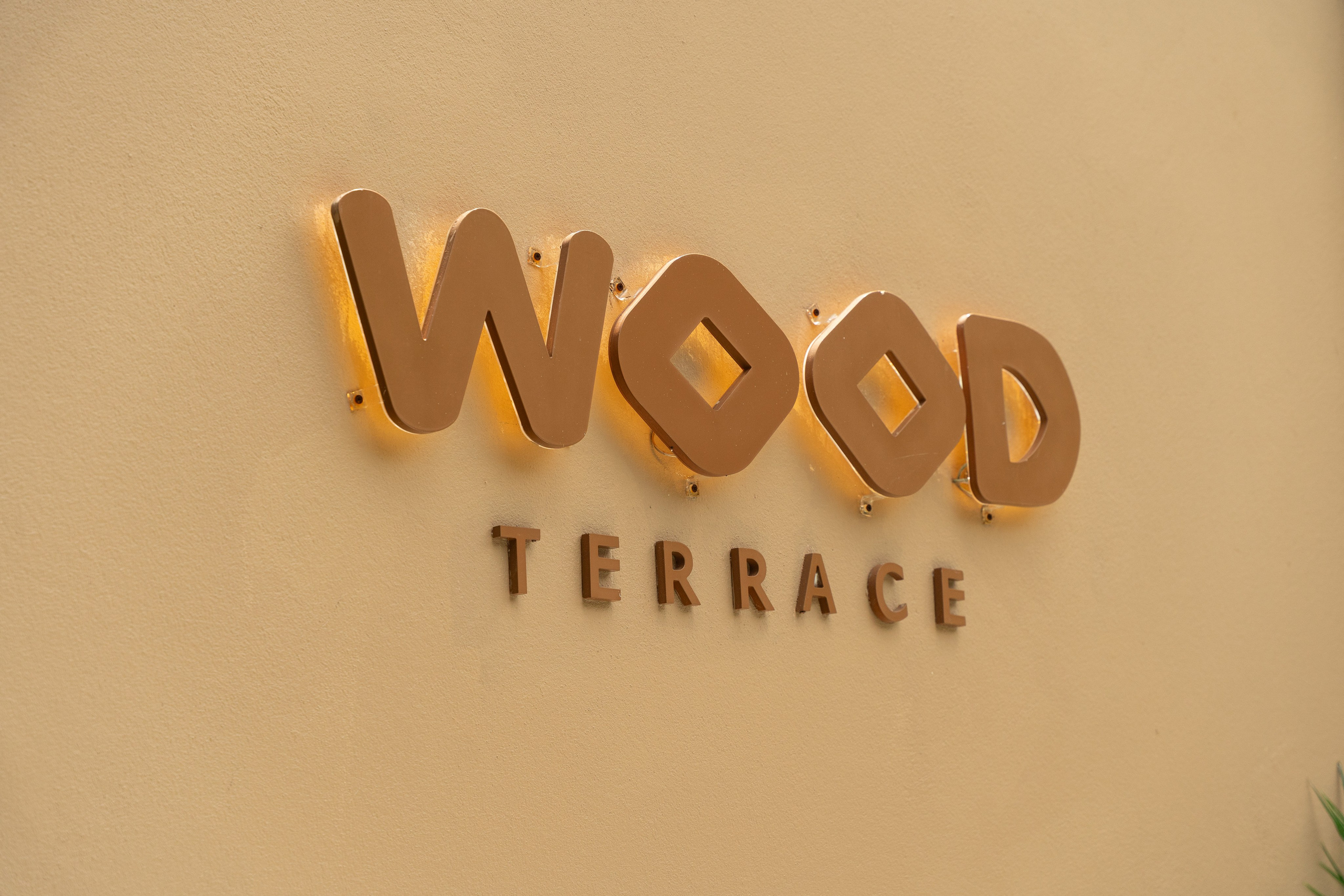 WOOD TERRACE. Brand designer | photographer | model
