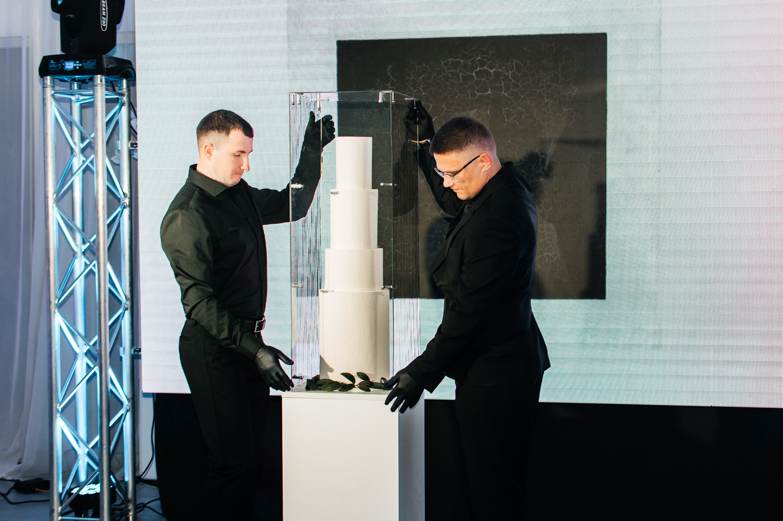 Шоу тортов. Ярмольчик Марина, Fashion фотограф в г Витебск и за его пределами