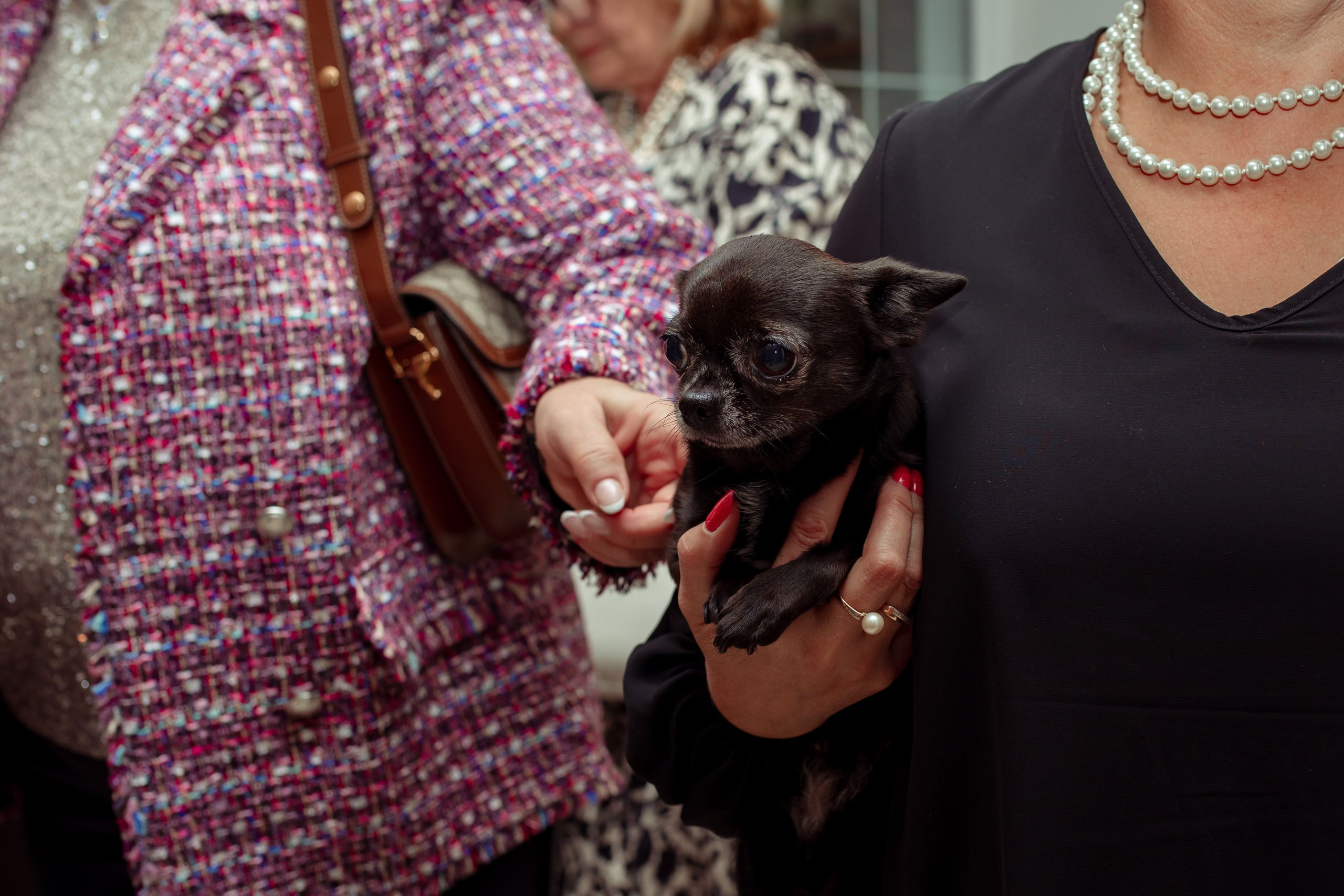 Юбилей Светланы (6 часов). Семейный и детский фотограф в Москве Дорогова Екатерина