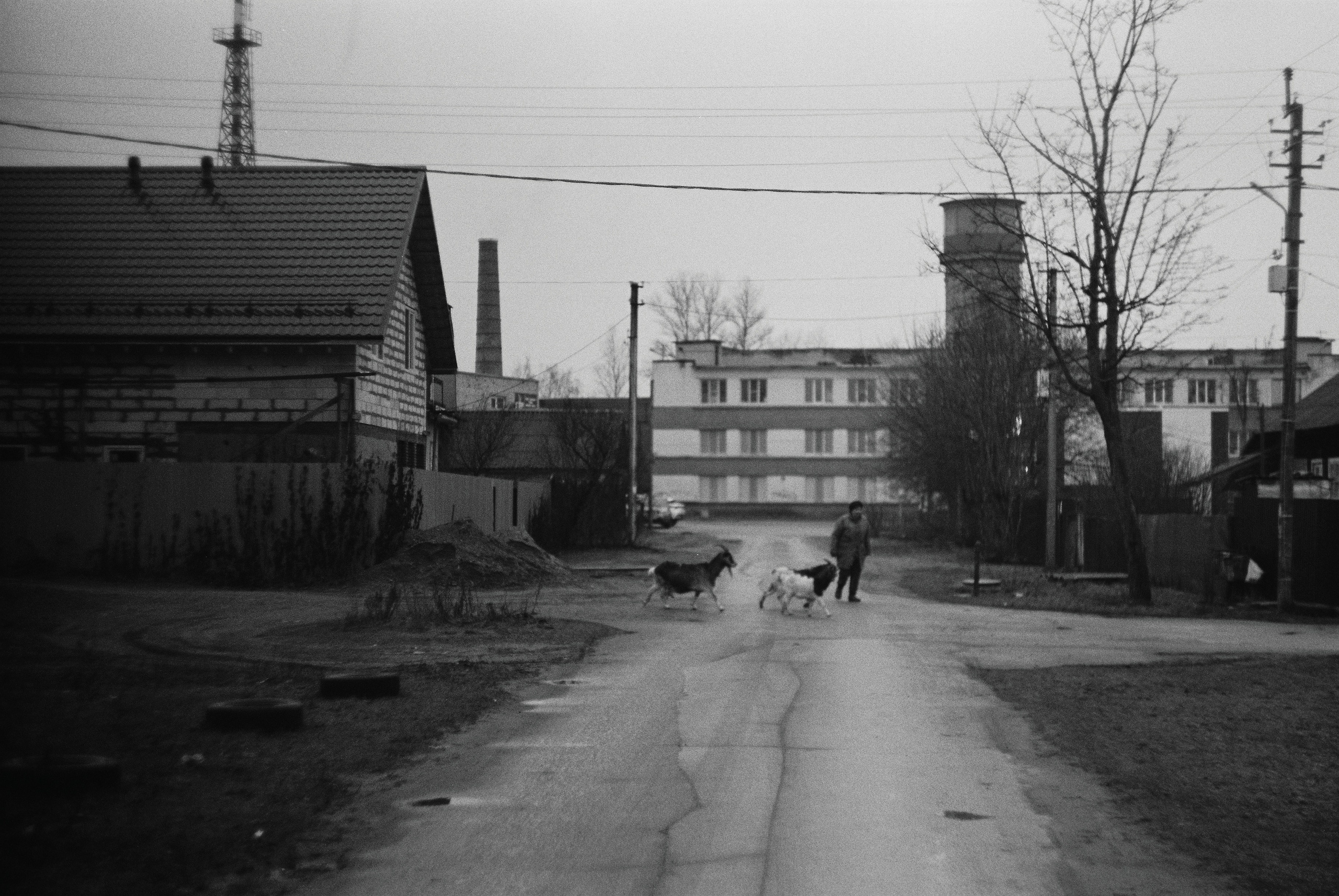 Зенит ЕТ с объективом Гелиос 44-М4 и черно-белой пленкой Ilford PAN 400 ISO