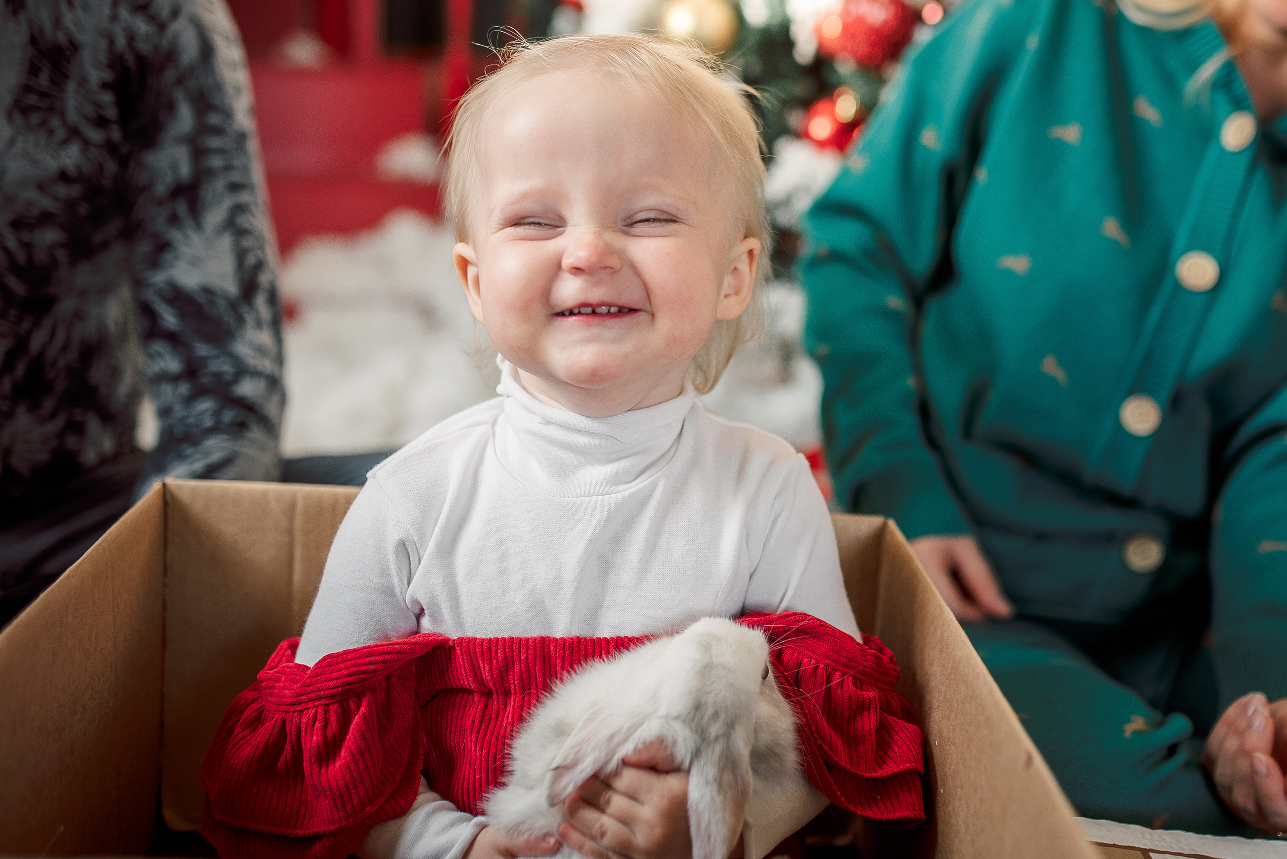 Новогодняя сказка для Варюши. Семейный фотограф в Ростове-на-Дону Мария Панарина