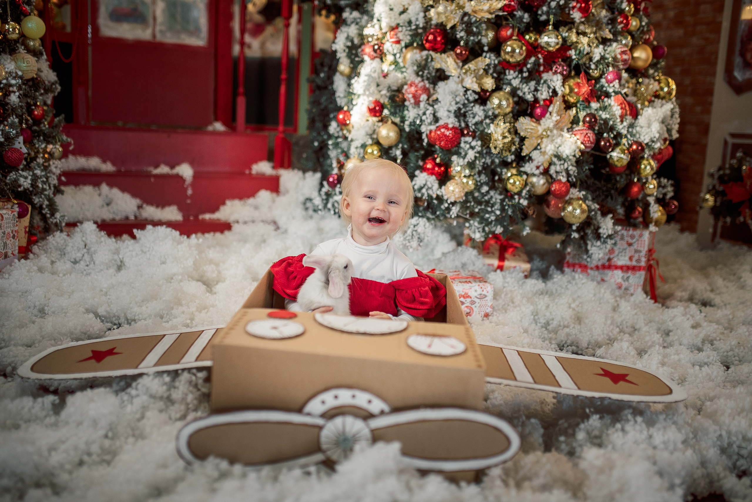 Новогодняя сказка для Варюши. Семейный фотограф в Ростове-на-Дону Мария Панарина