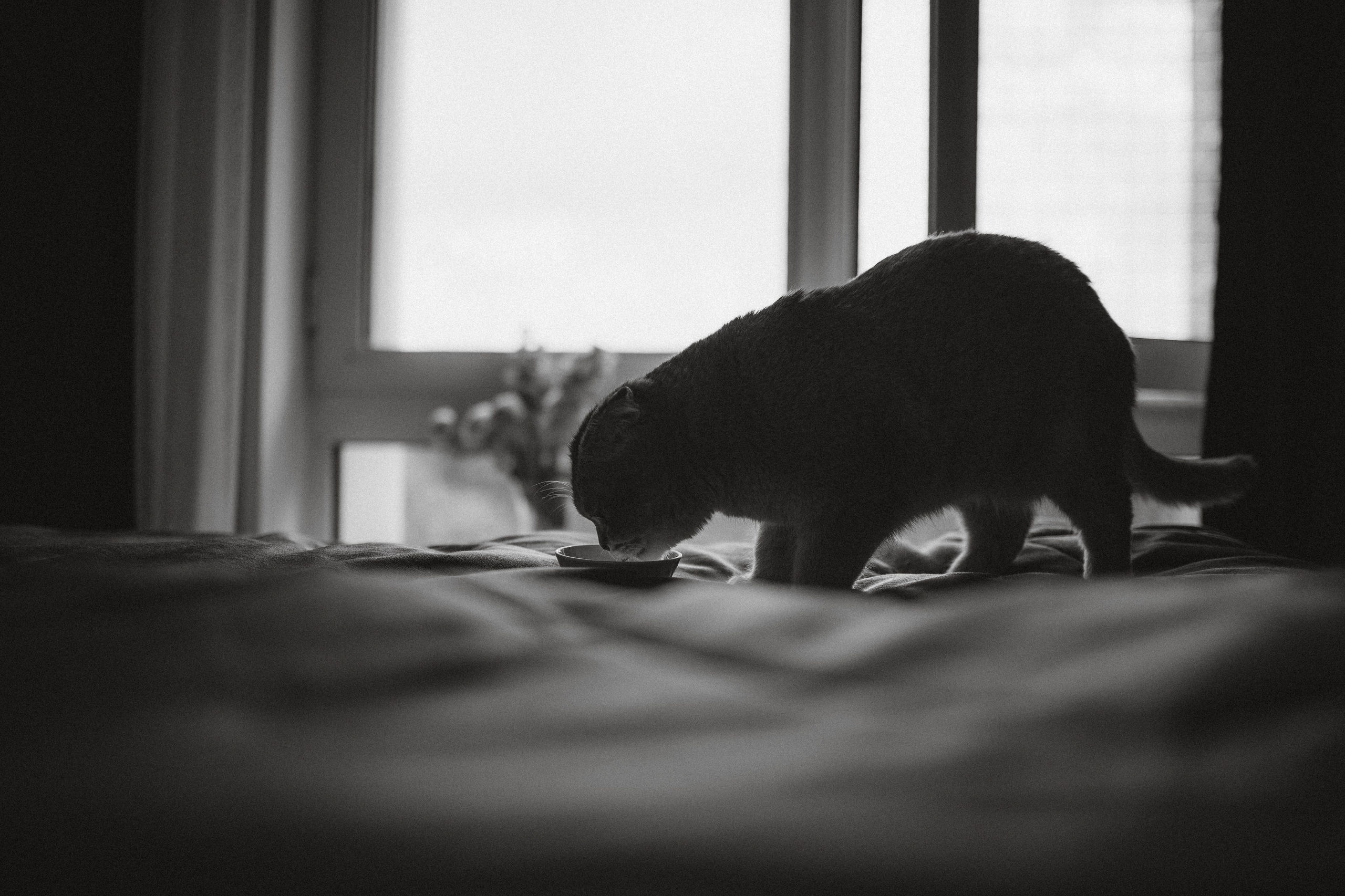 Генри и его семья