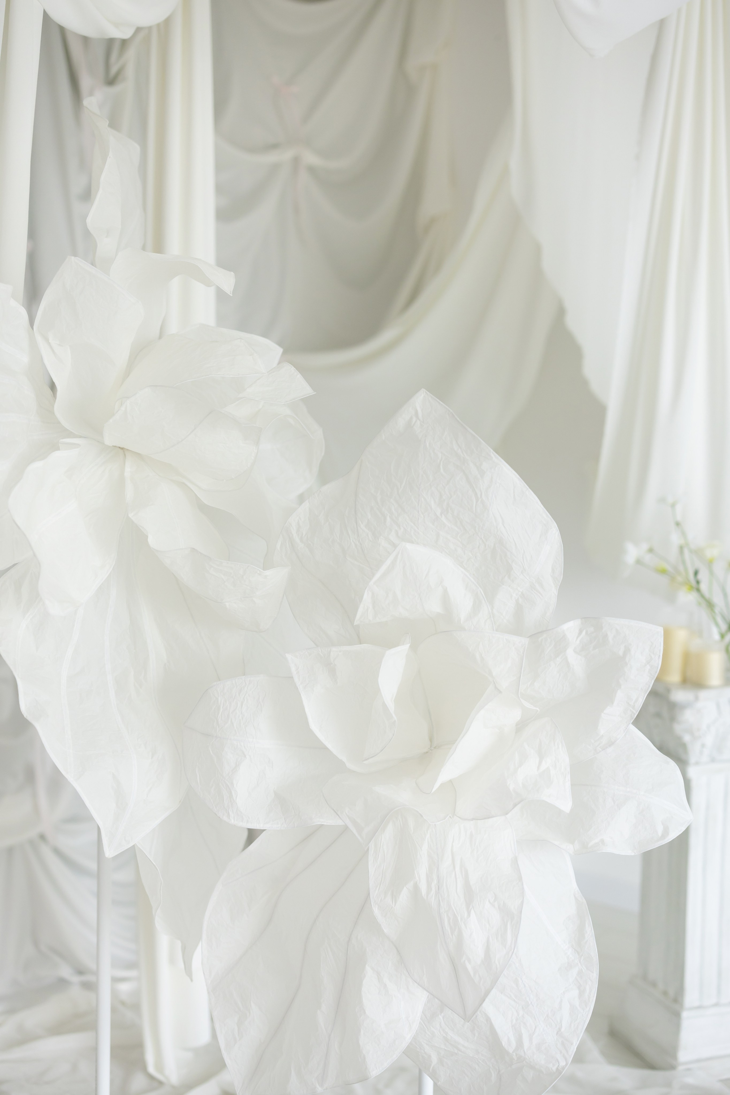 Фотостудия «AVOCADO» зал вайт. Свадебный фотограф в Ростове Александра Груздева