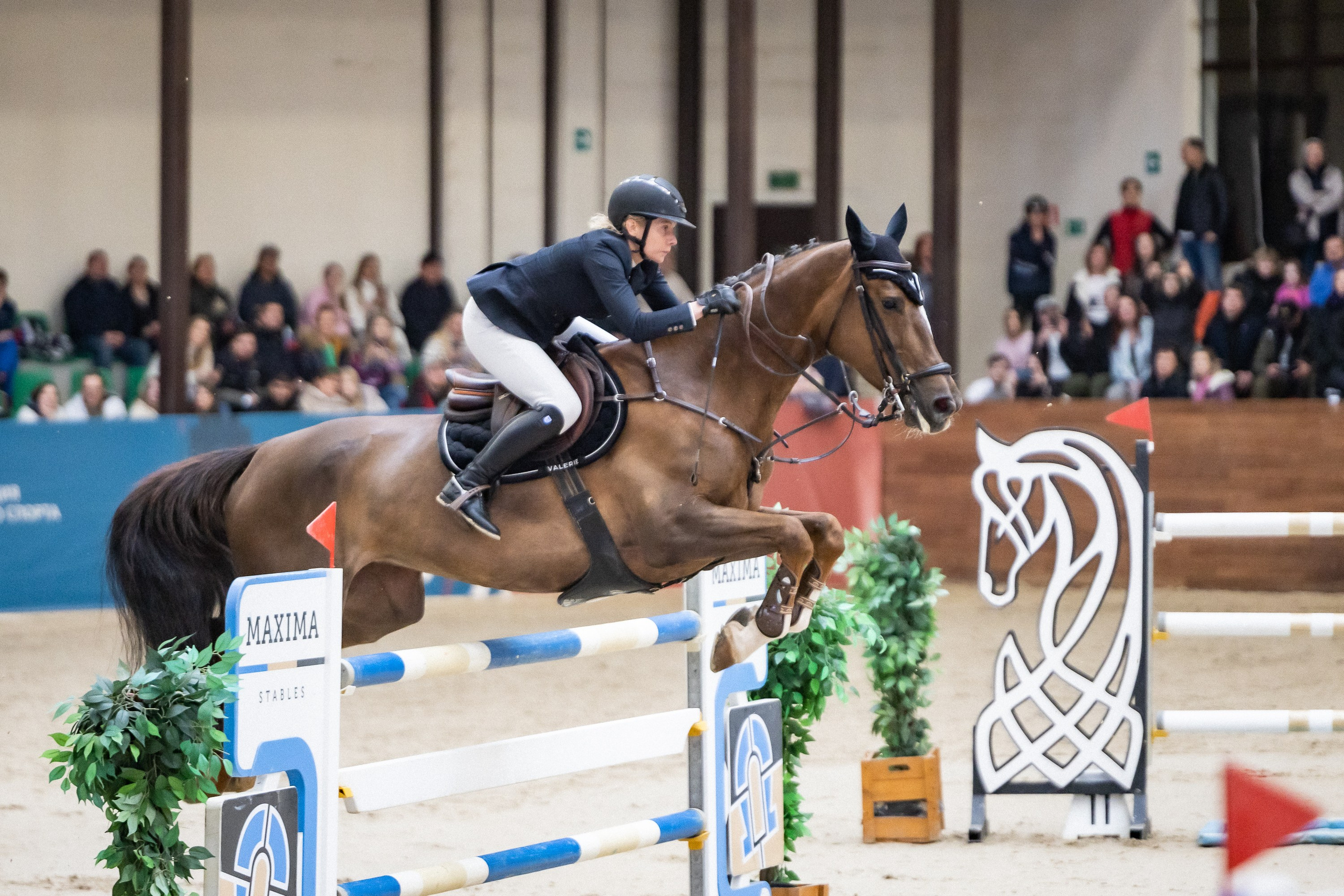 Кубок Кремля по Конкуру 12.04.25. Фотограф Владимир Охрименко