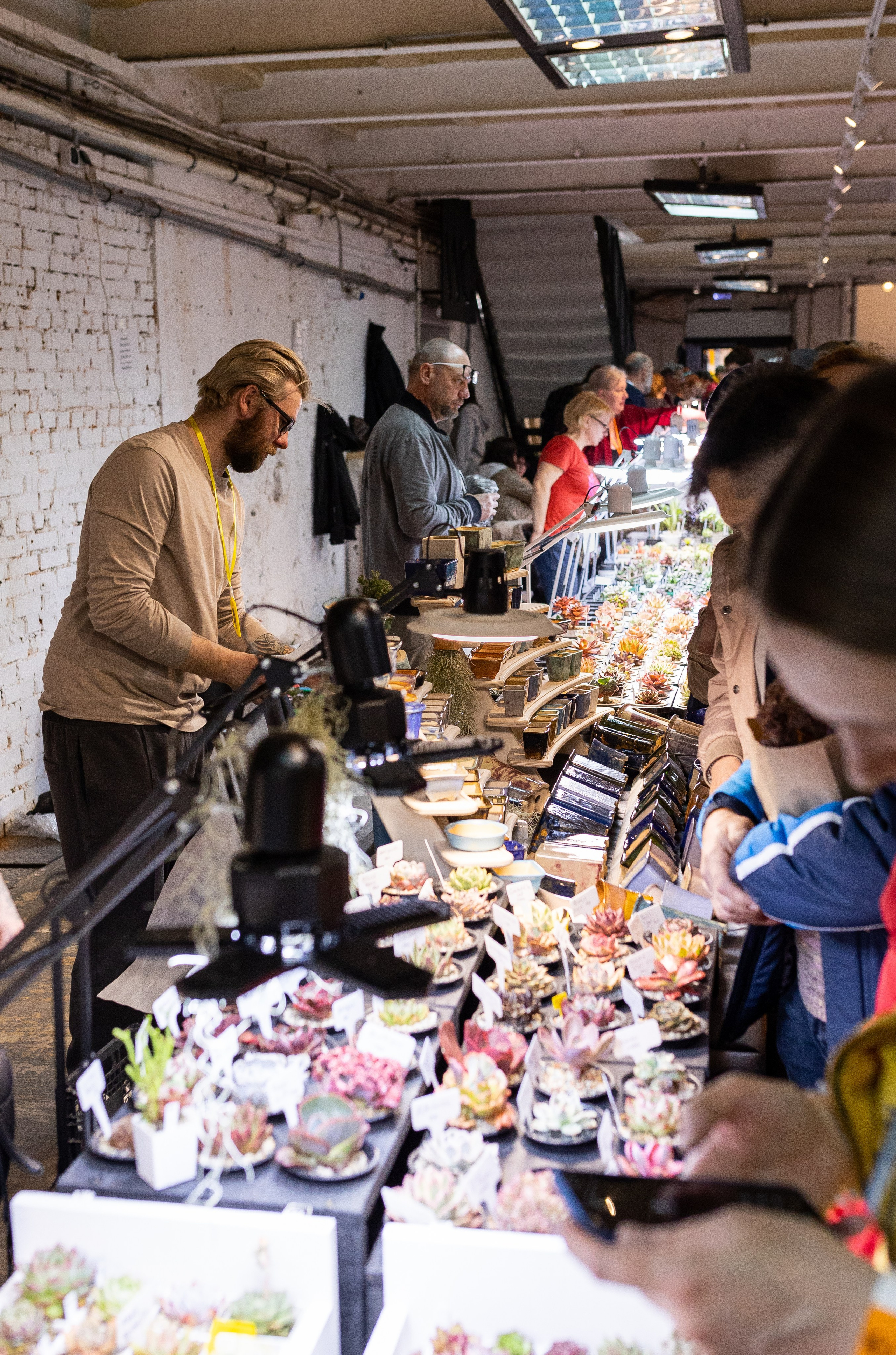 Meza market 2024. Александра Куликова фотограф, Москва