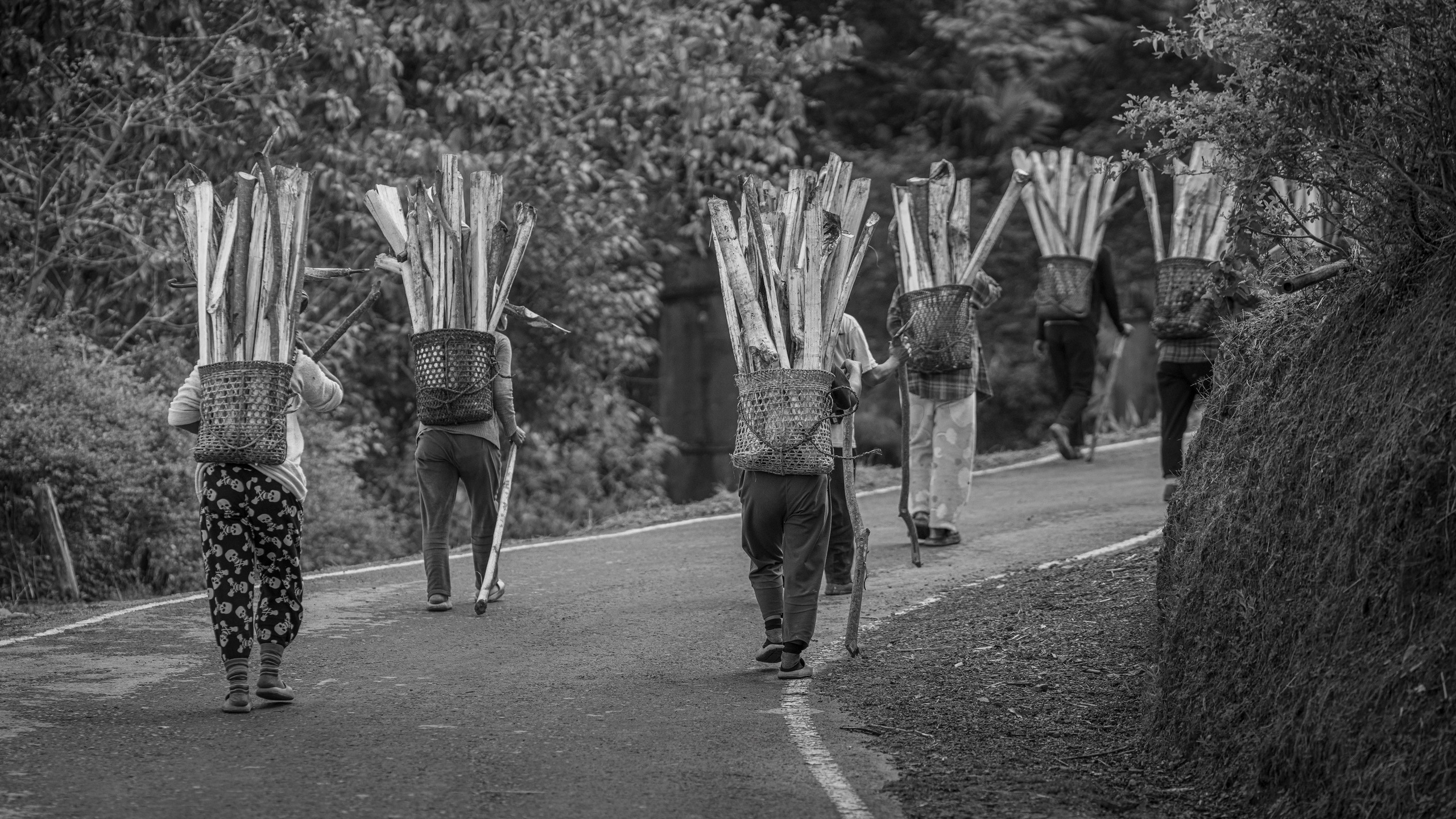 India travel. Фотограф Сергей Танков