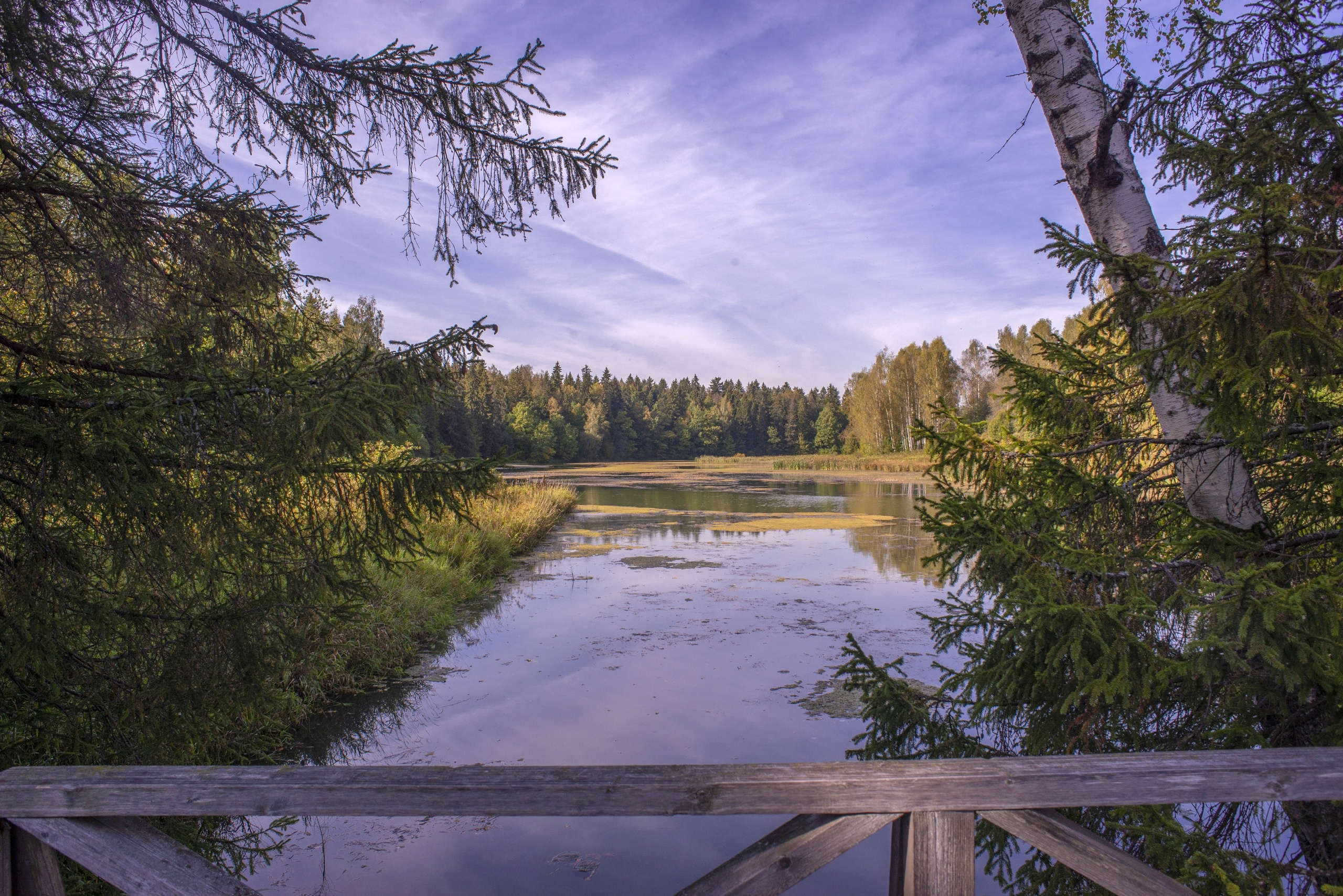 Абрамцево. Сентябрь 2023. Игорь Жучков. Россия увиденная глазами путешествующего фотографа