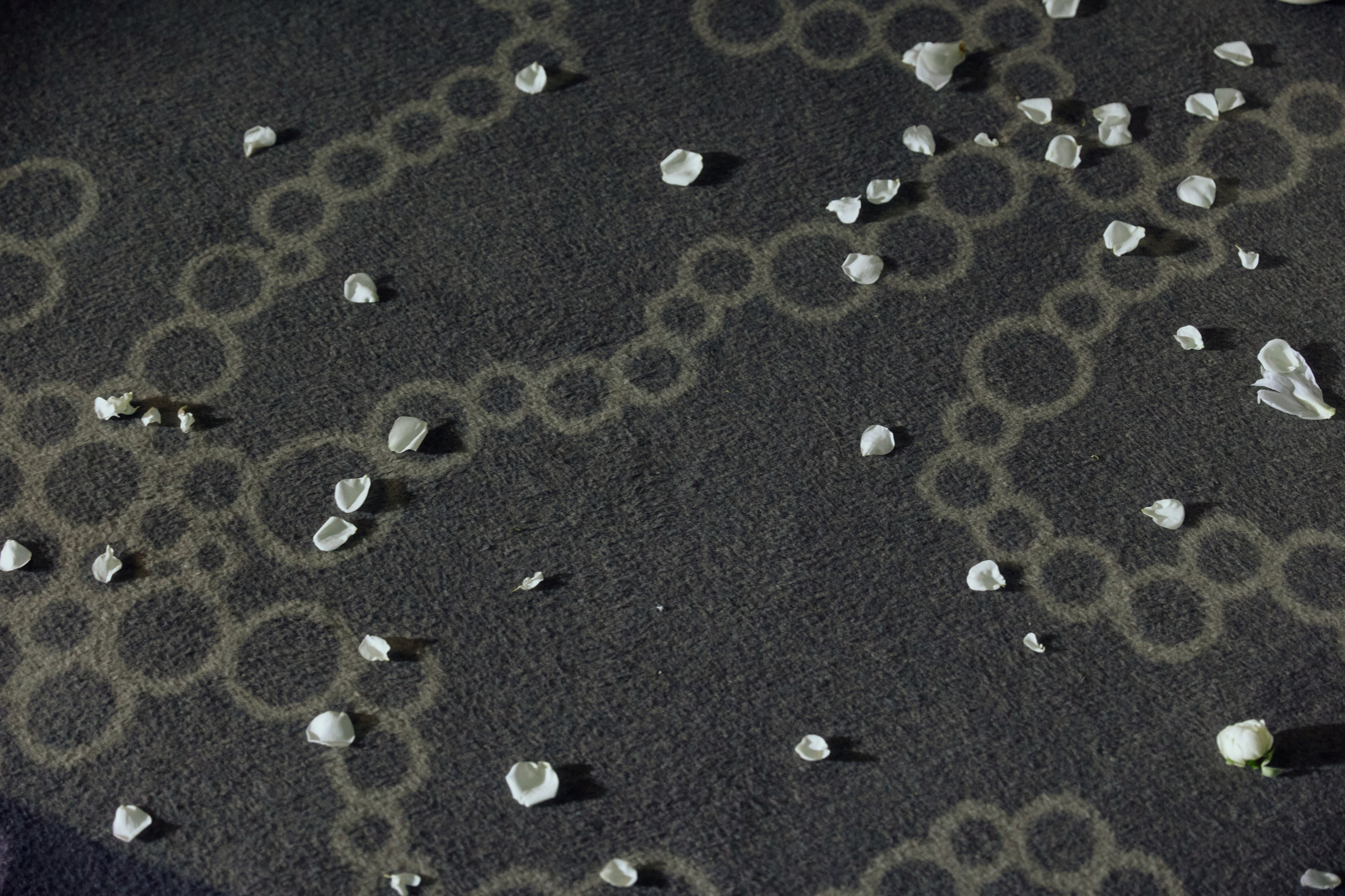 Kirill & Kristina. Event агентство PAPRIKA в Екатеринбурге