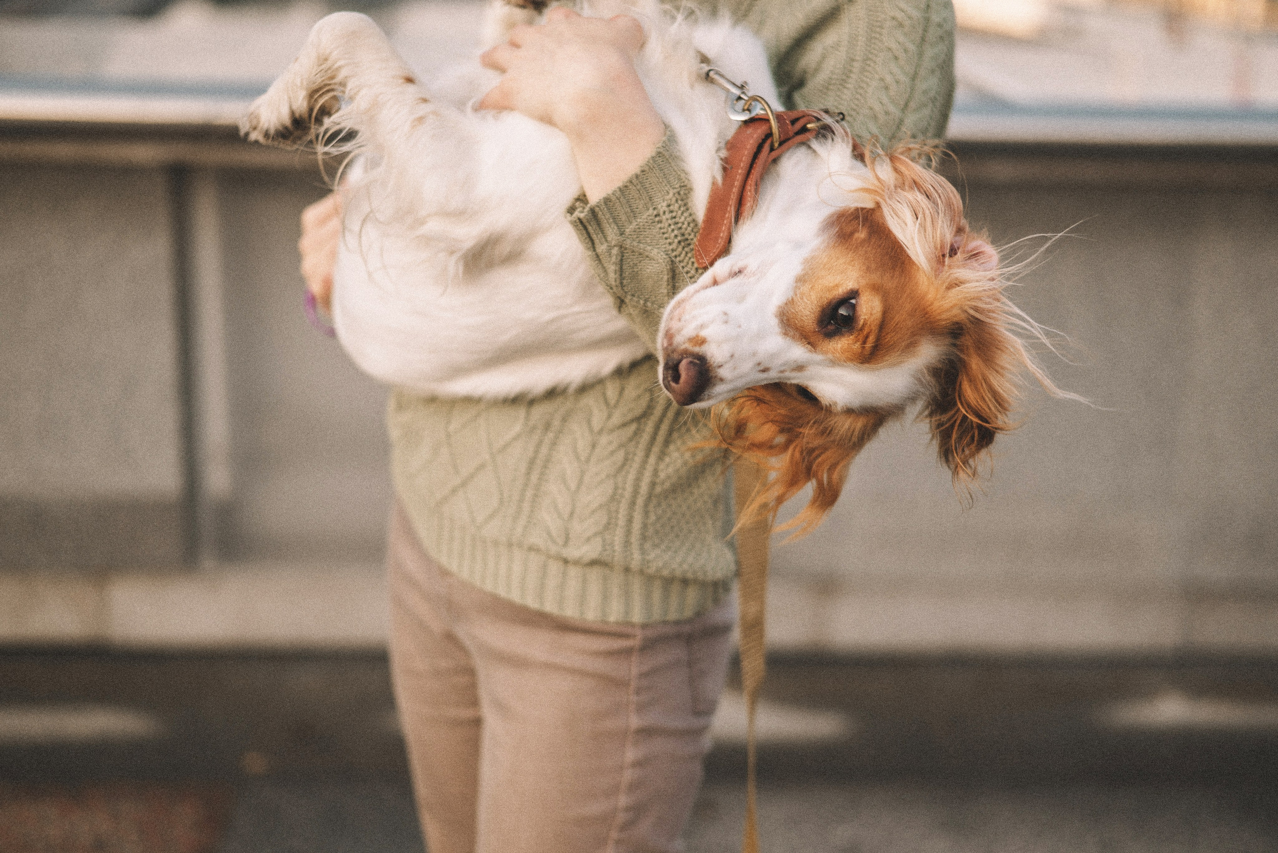 Маша и Вега. Фотограф-анималист Богданова Полина