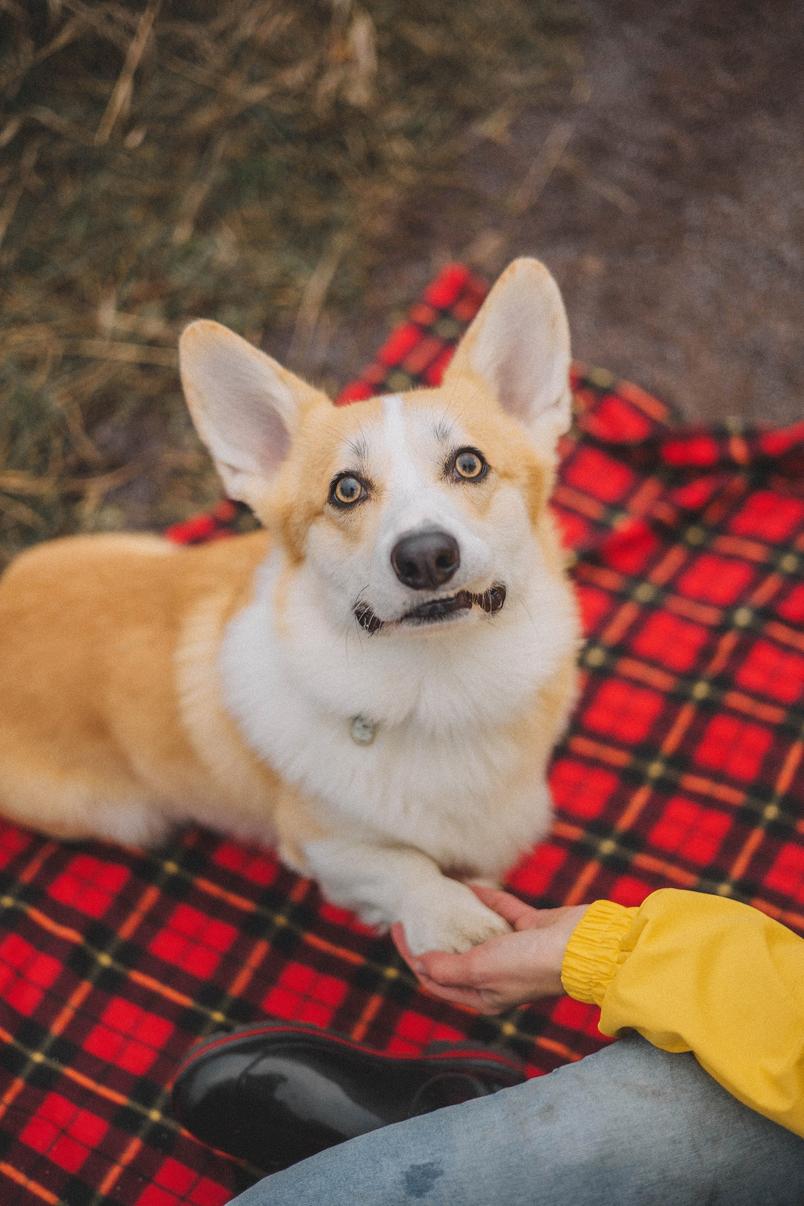 Юля и барри. Фотограф-анималист Богданова Полина