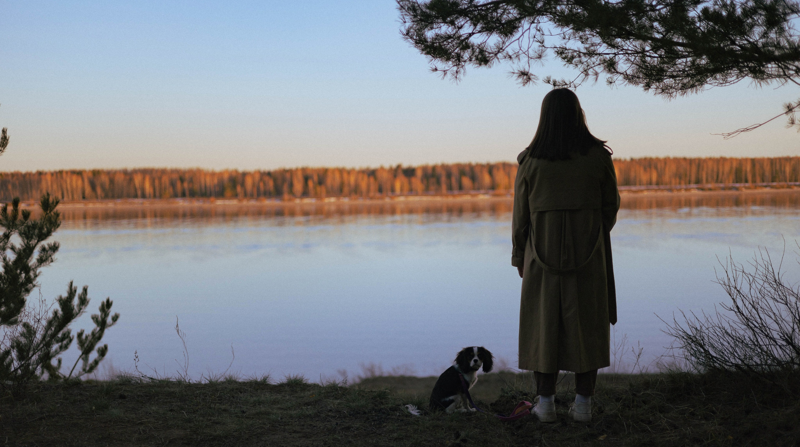 Ангелина и Йен. Фотограф-анималист Богданова Полина