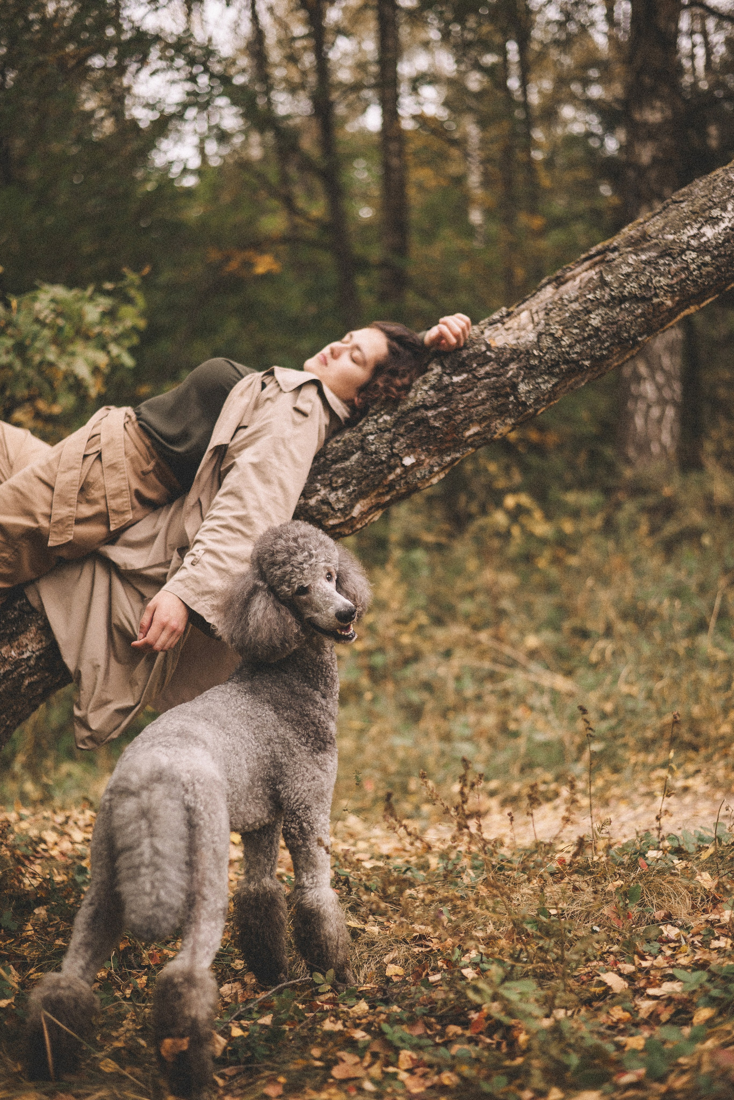 Алёна и Смоки. Фотограф-анималист Богданова Полина