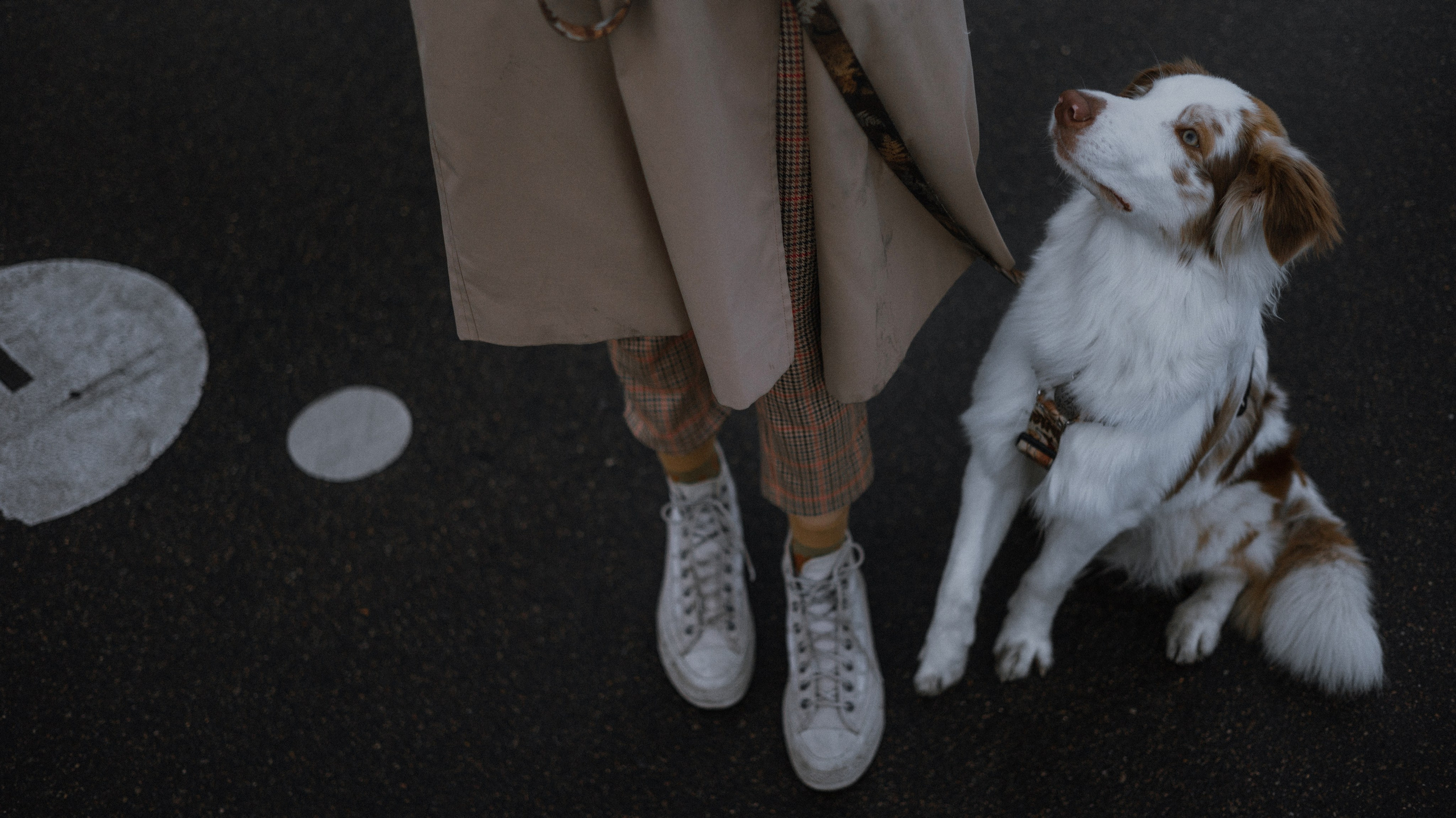 Светлана и Оливия. Фотограф-анималист Богданова Полина