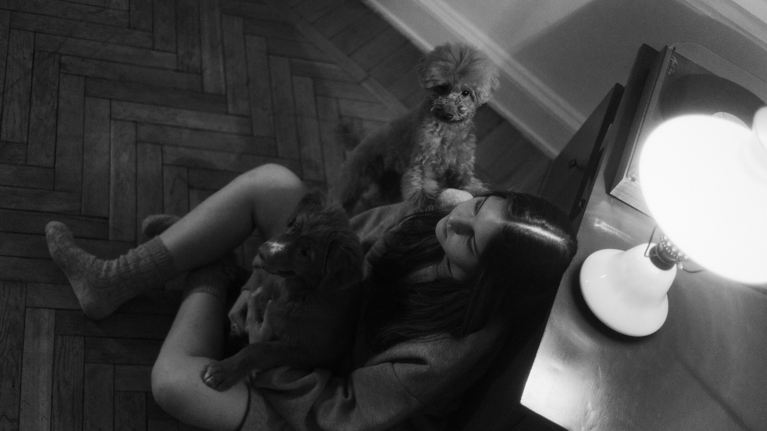 Маша, Одди и Нэвил. Фотограф-анималист Богданова Полина