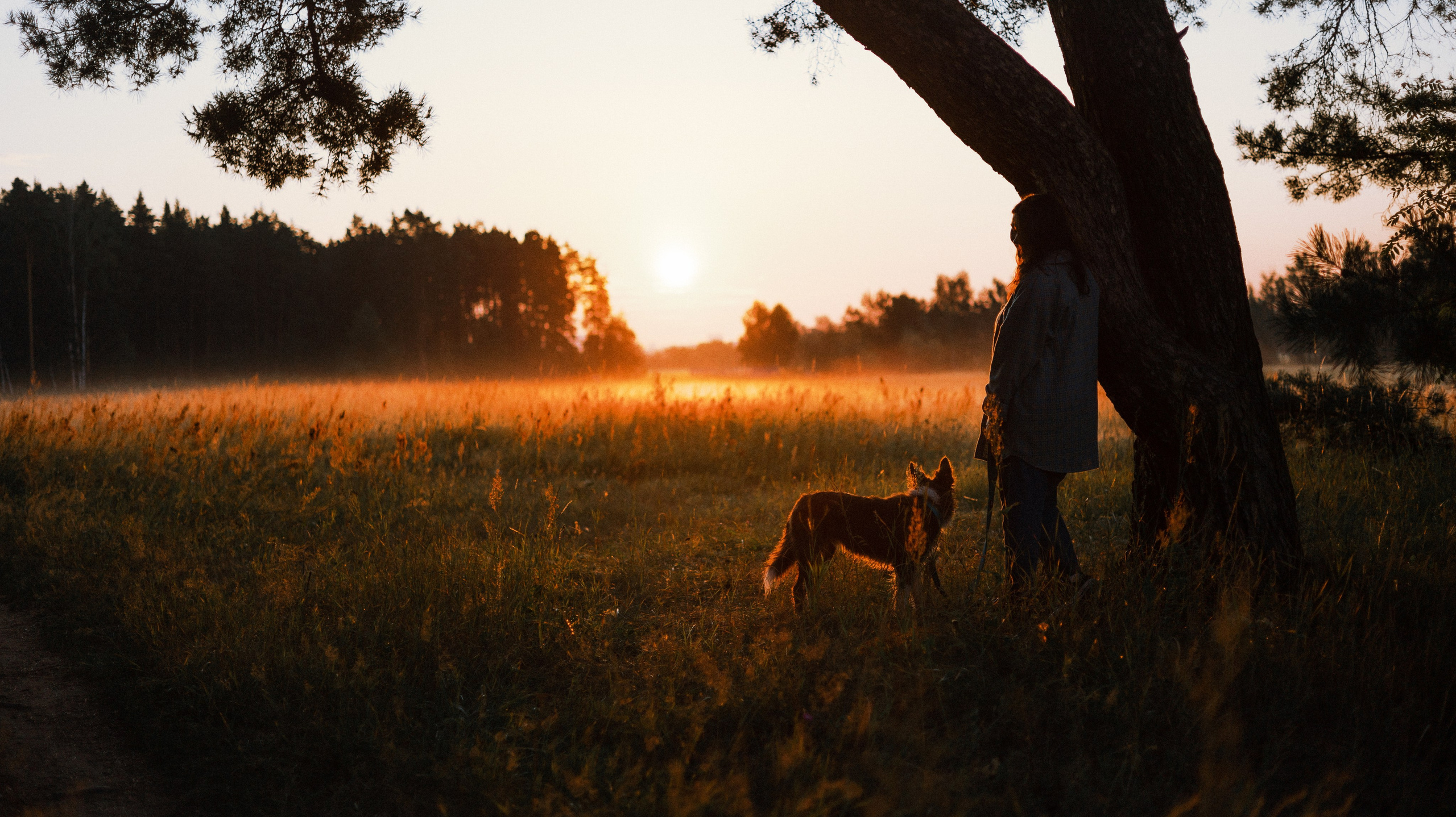 Полина и Паддингтон. Фотограф-анималист Богданова Полина
