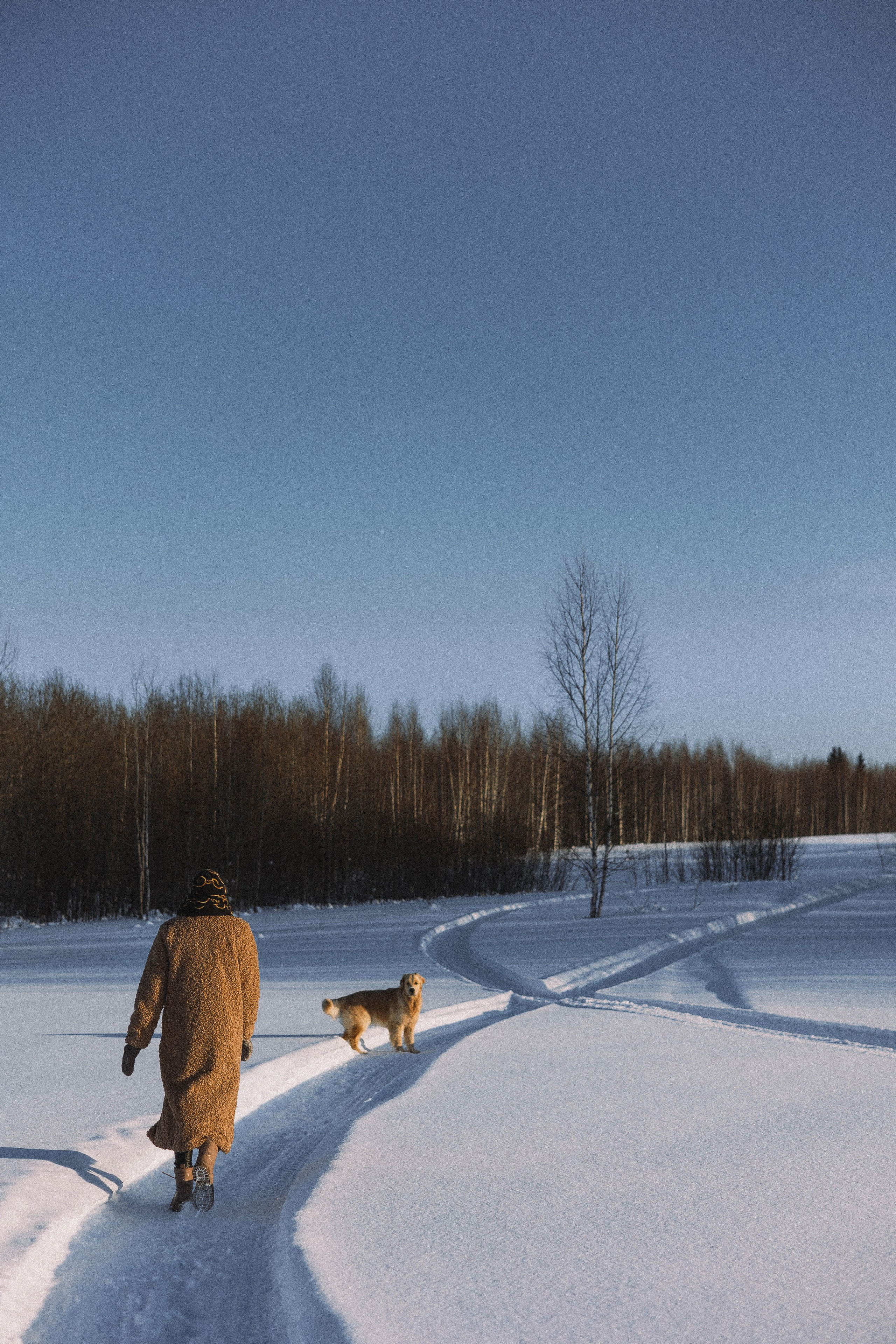 Лена и Декстер. Фотограф-анималист Богданова Полина