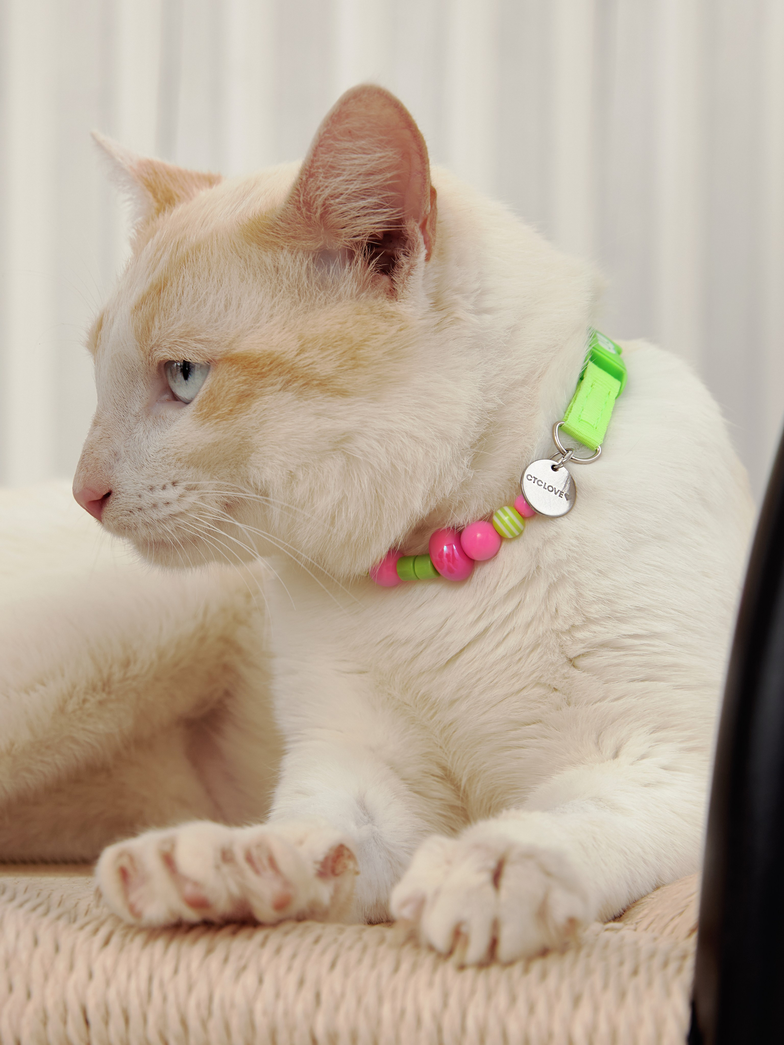 CTC Love x MI OLI. Фотограф Sasha Saunder