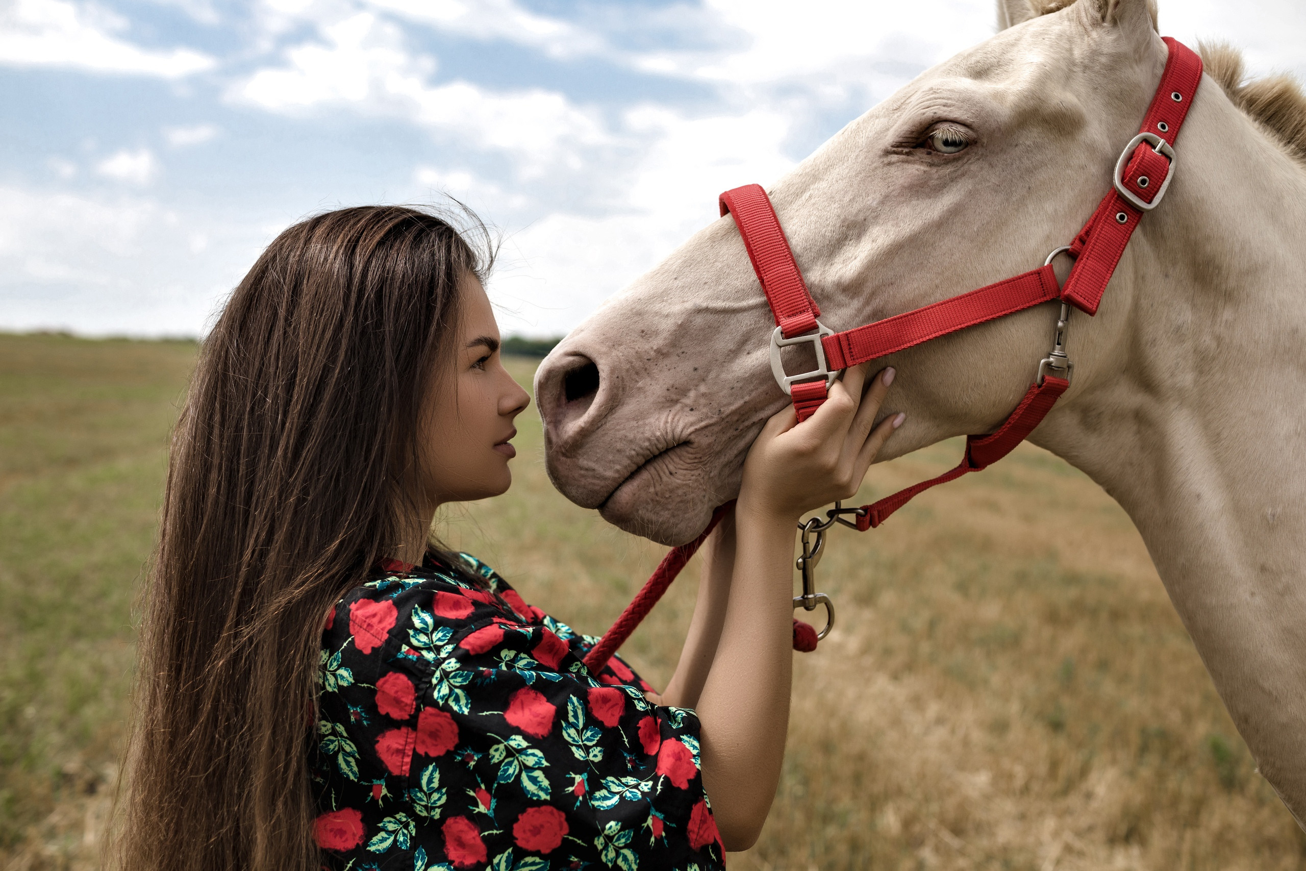 Студийная фотосессия, индивидуальная съёмка, семейная фотосессия, бизнес съемка, фотосессия в городе. фотосессия на природе, фотосессия ню, фотосессия эро, девушка фотосессия, мужская фотосессия, фотограф ростов-на-дону, фотограф, фотосессия на улице, фотосессия ванной