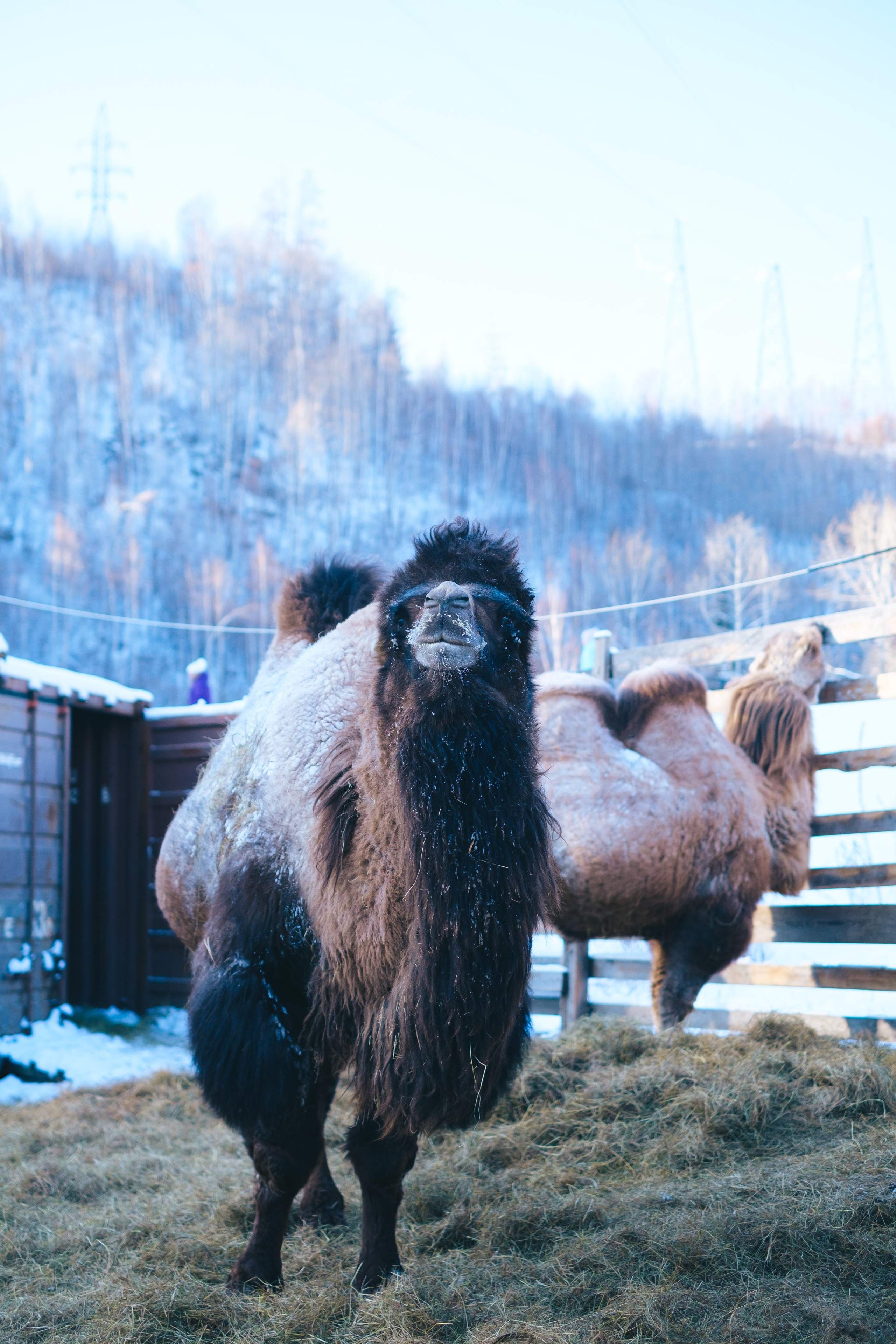 Бурейский тур. Фотограф Благовещенска Яна