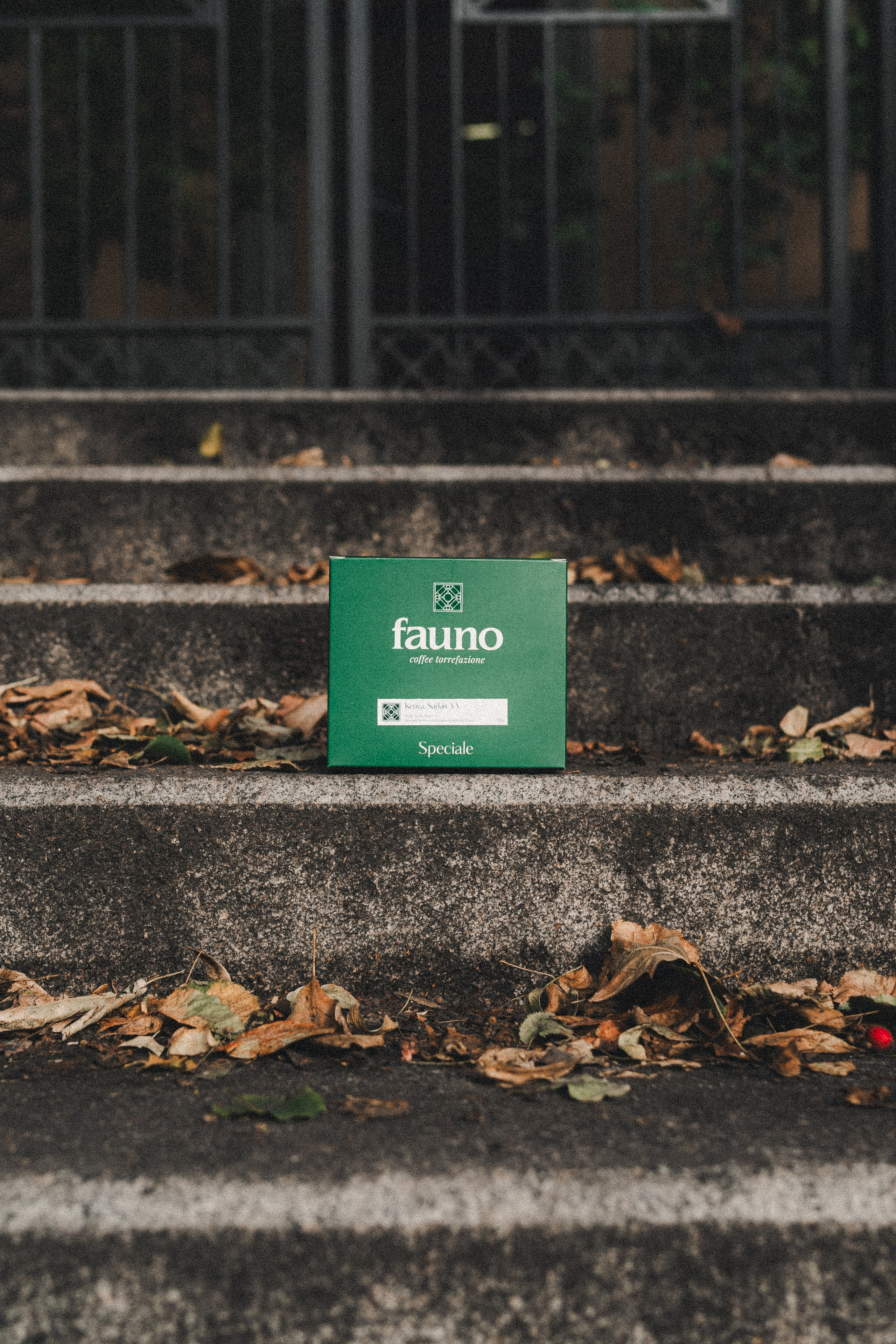 Fauno. Фотограф Илья К. в Москве