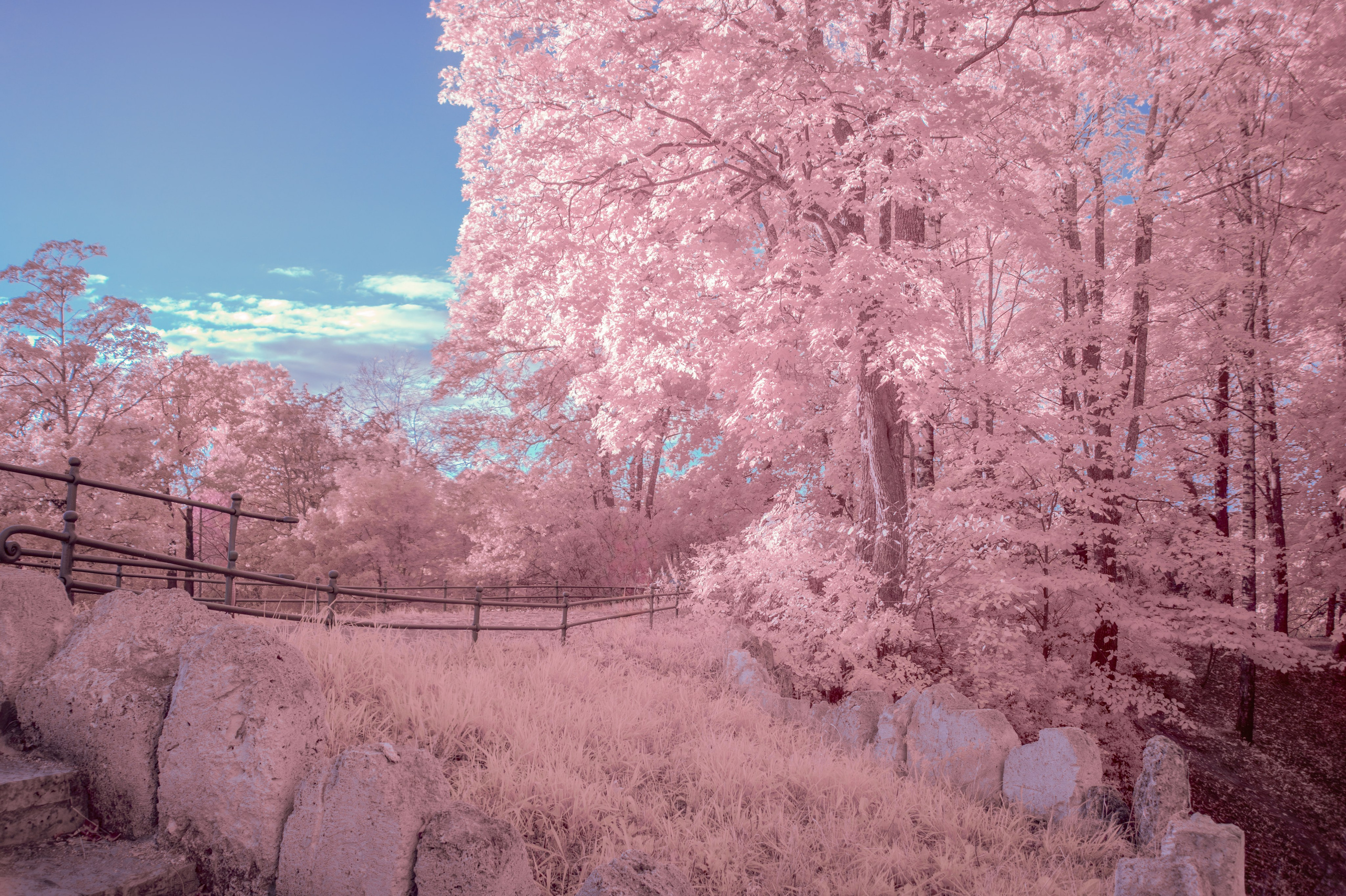 Infrared. AThumbnails