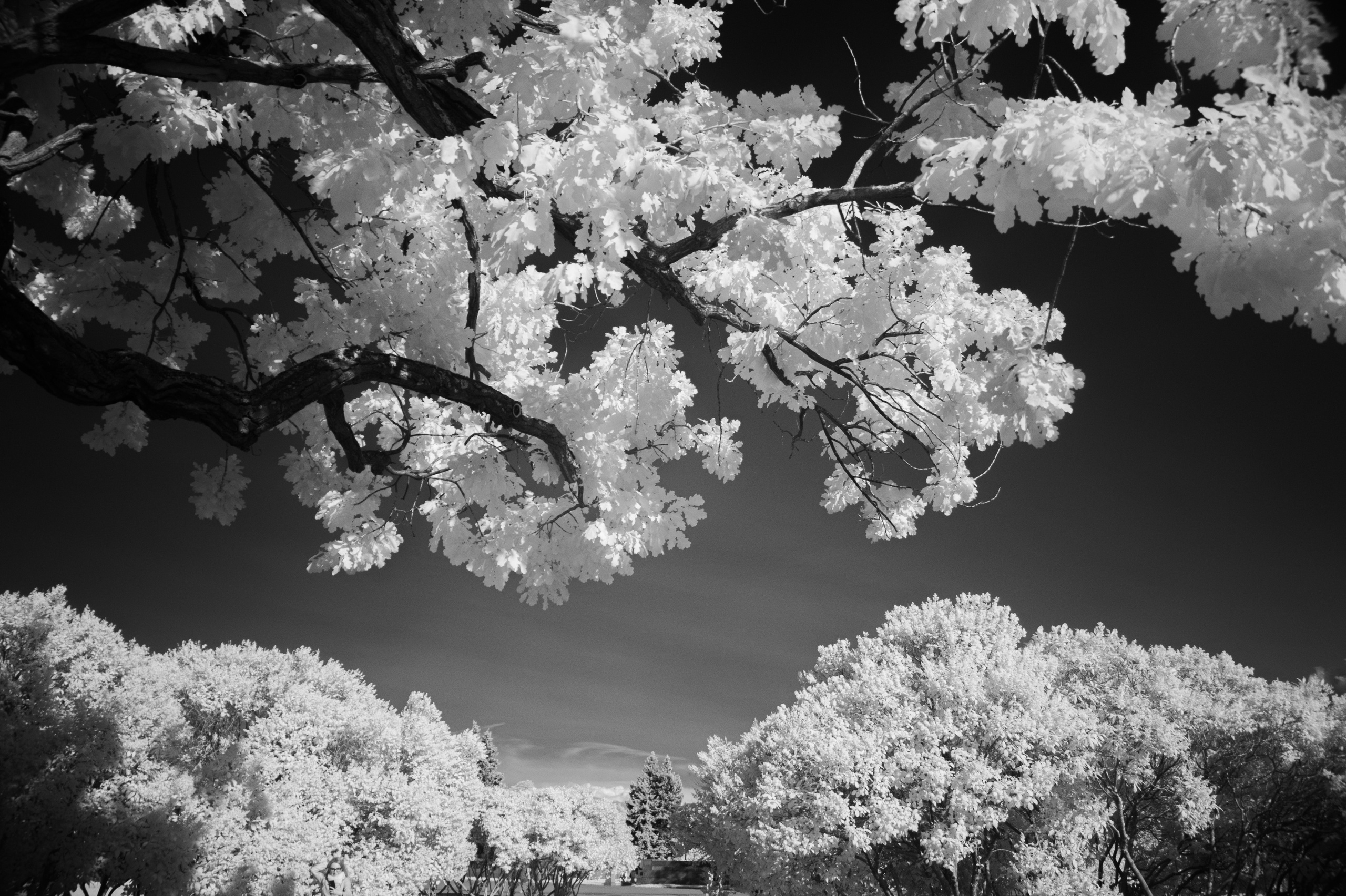 Infrared mono. AThumbnails