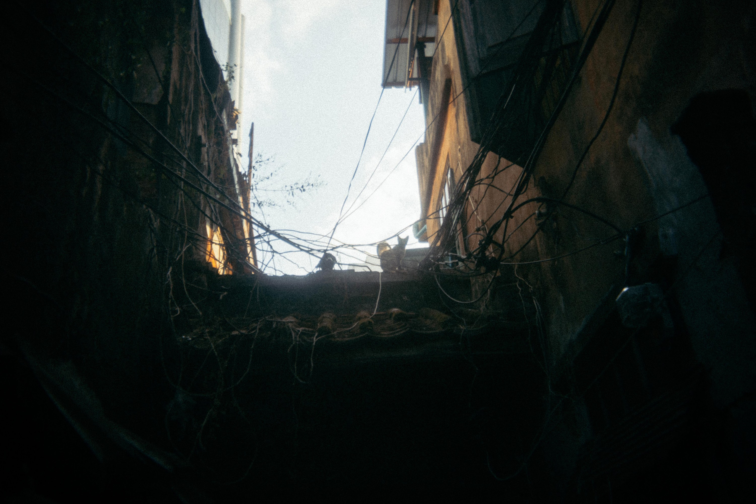 Шри + Бангкок. Фотограф Тбилиси Саша Мороз