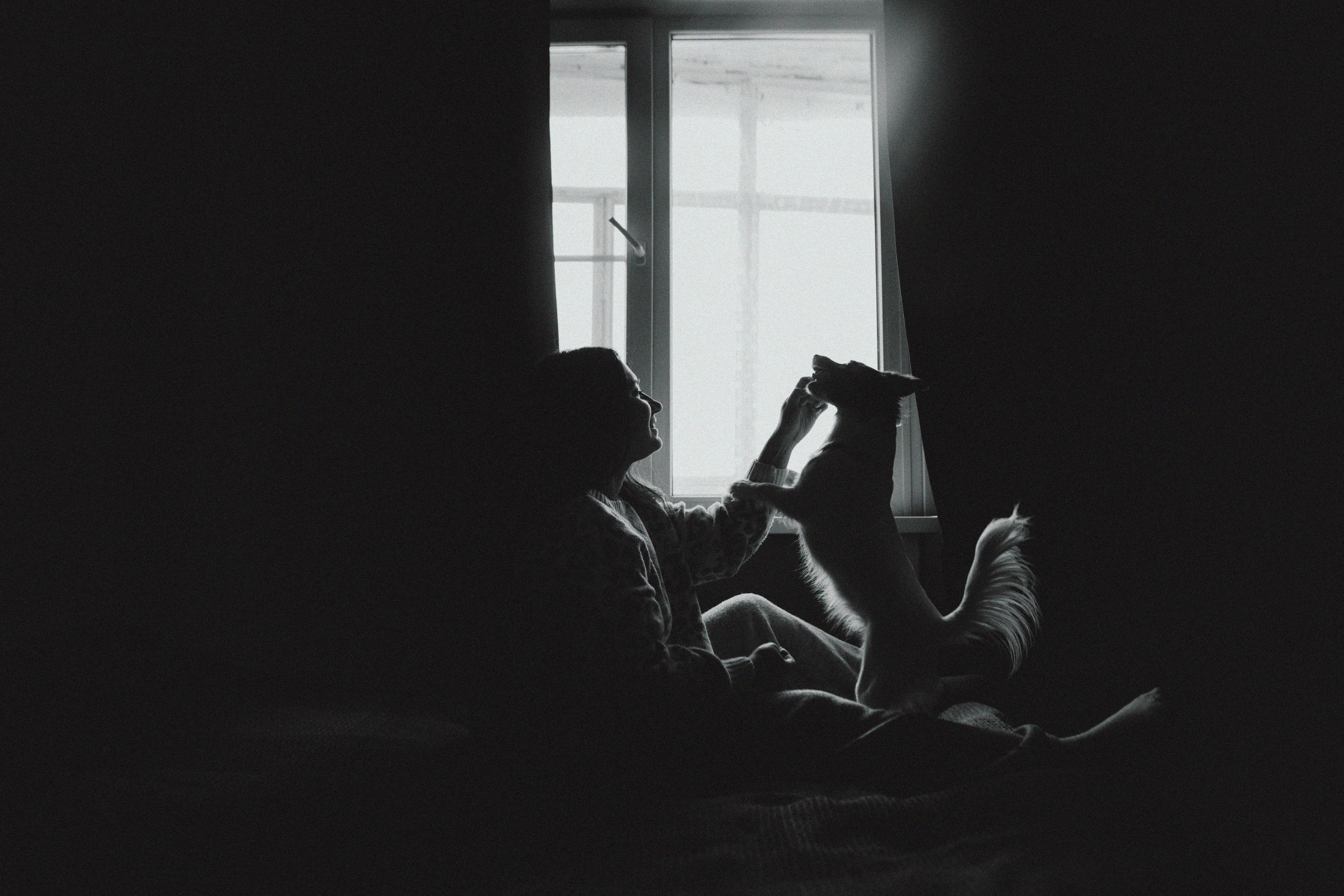 Break fast with a dog. Свадебный и семейный фотограф Арестенко Анастасия