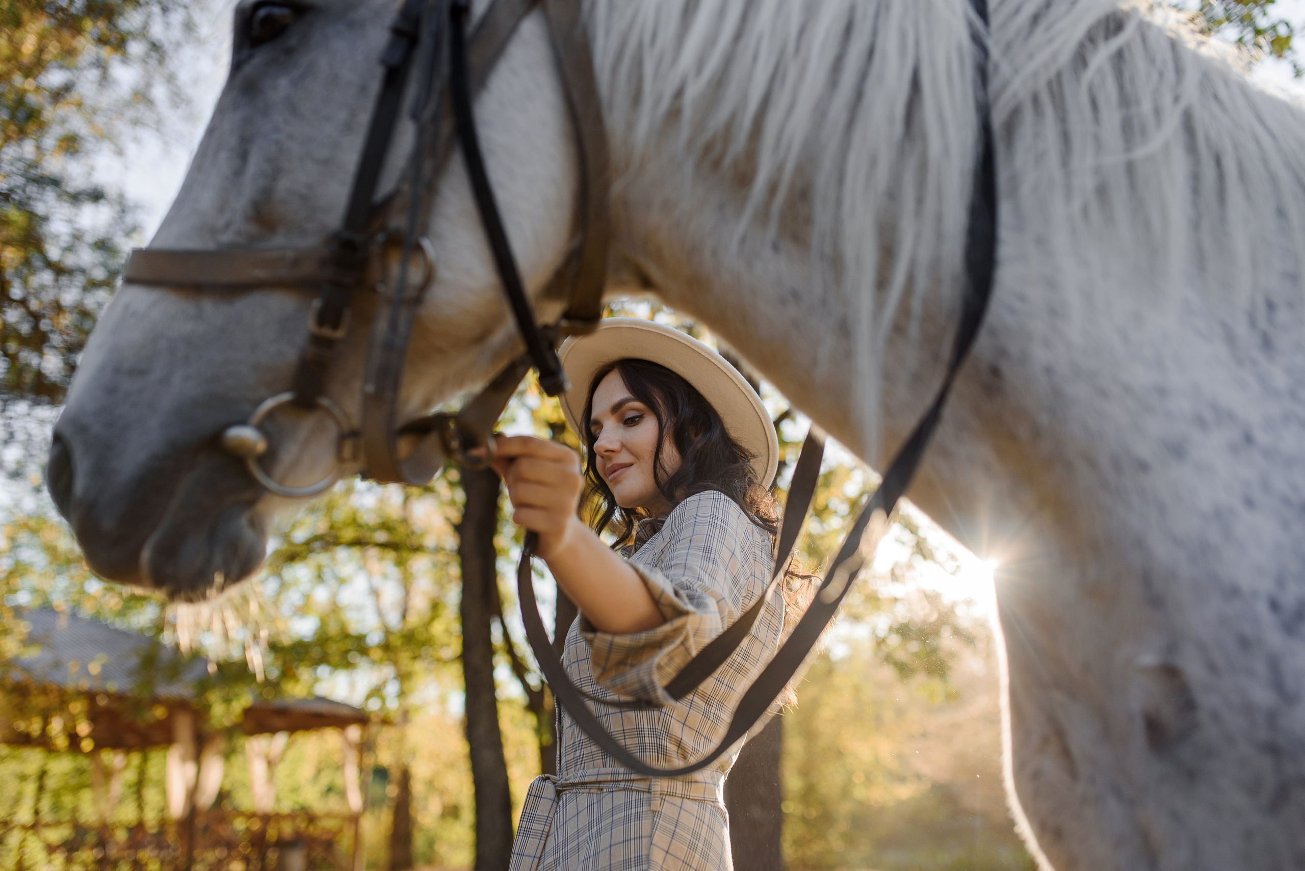 Лена и кони