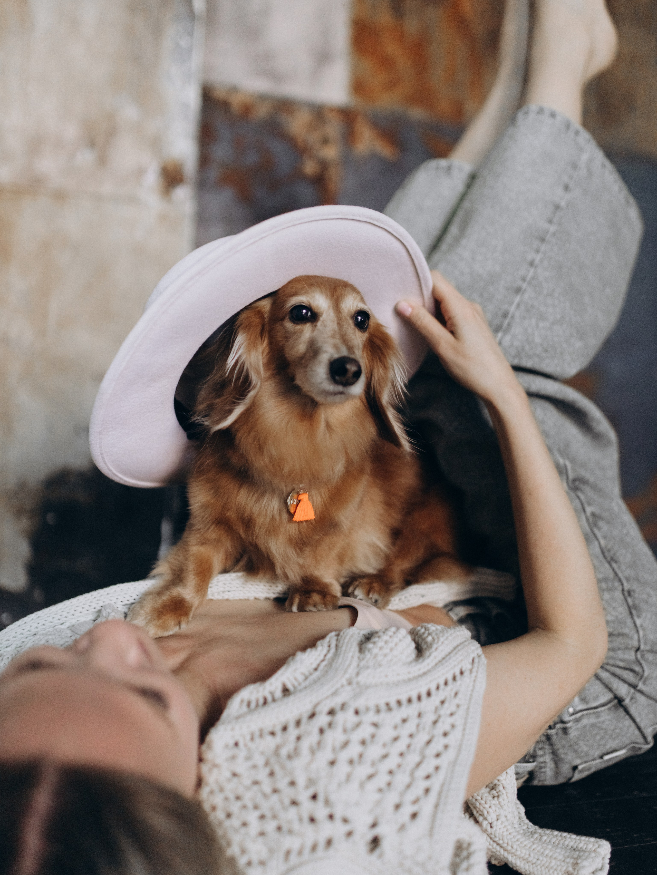 Лимон и Аня. Фотограф-анималист в Москве Кириллова Татьяна